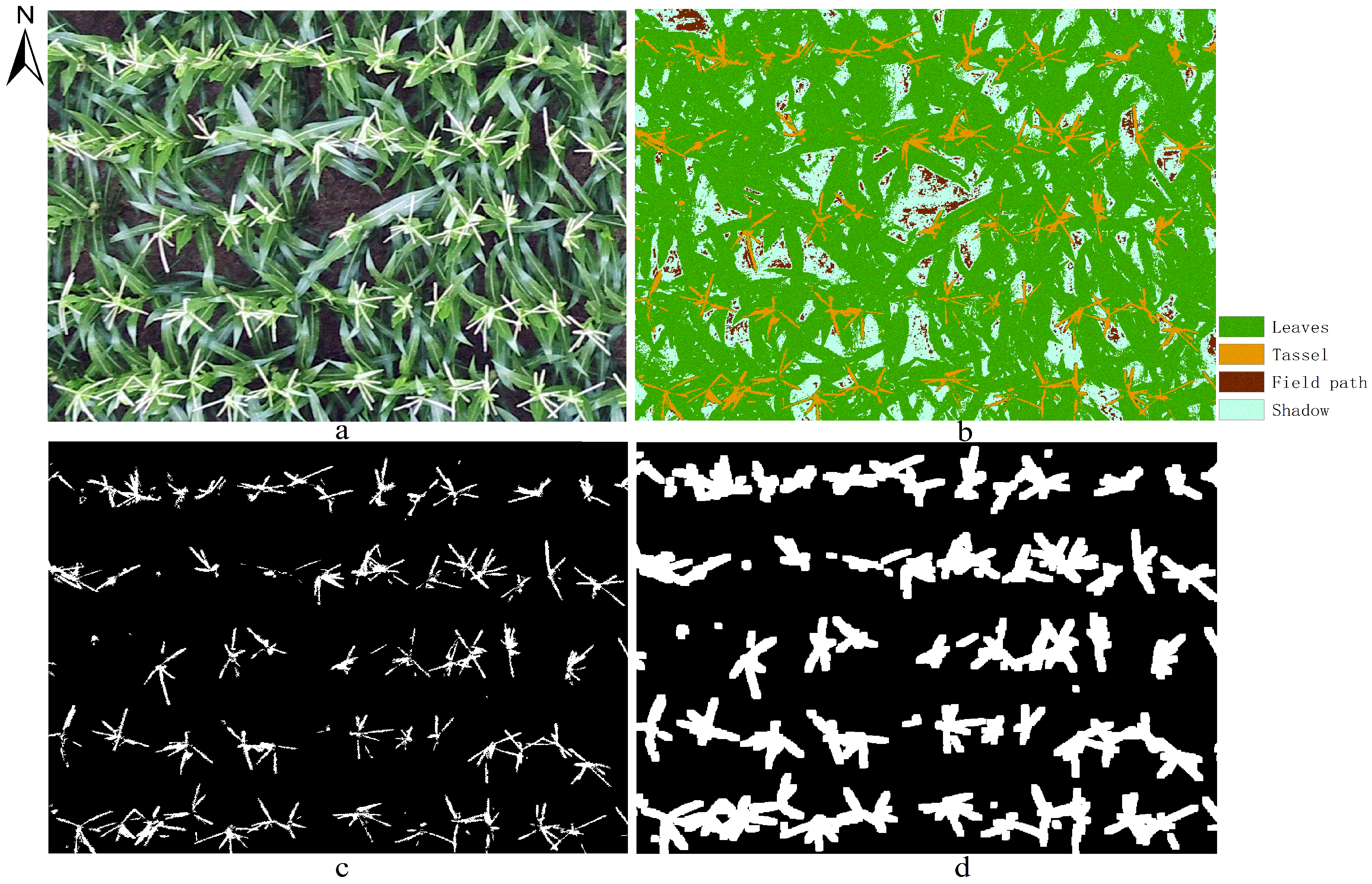 Remotesensing 12 03049 g006 Remotesensing 12 03049 g006