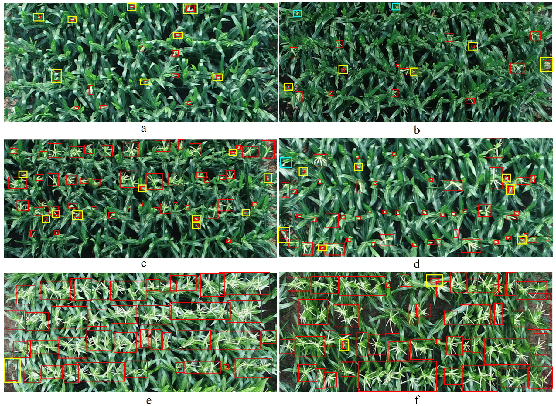 Remotesensing 12 03049 g011 Remotesensing 12 03049 g011