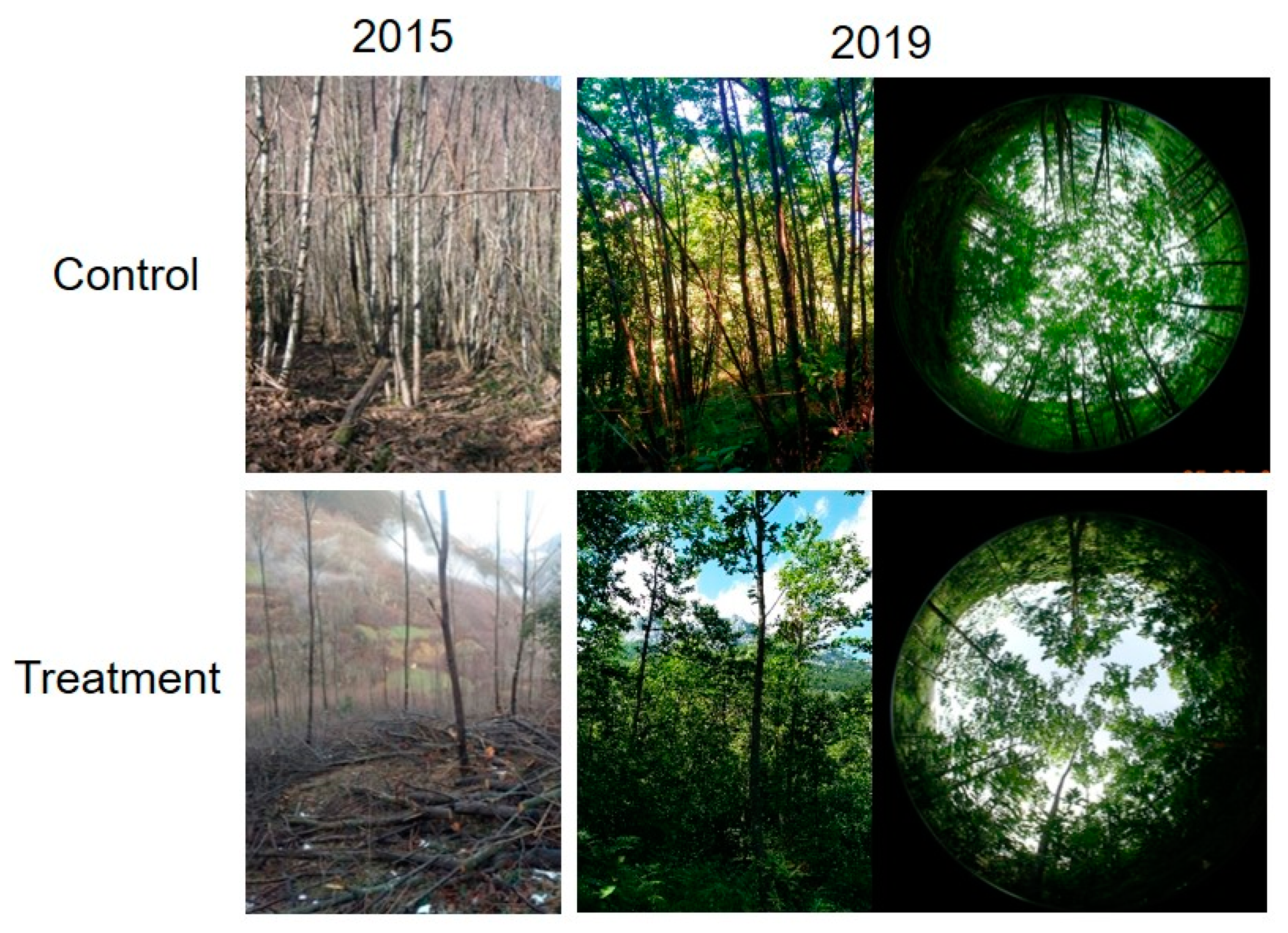 Remotesensing 12 03068 g002