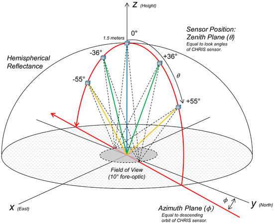 Remote Sensing Free Full Text Comparison Of Empirical And Physical Modelling For Estimation Of Biochemical And Biophysical Vegetation Properties Field Scale Analysis Across An Arctic Bioclimatic Gradient Html