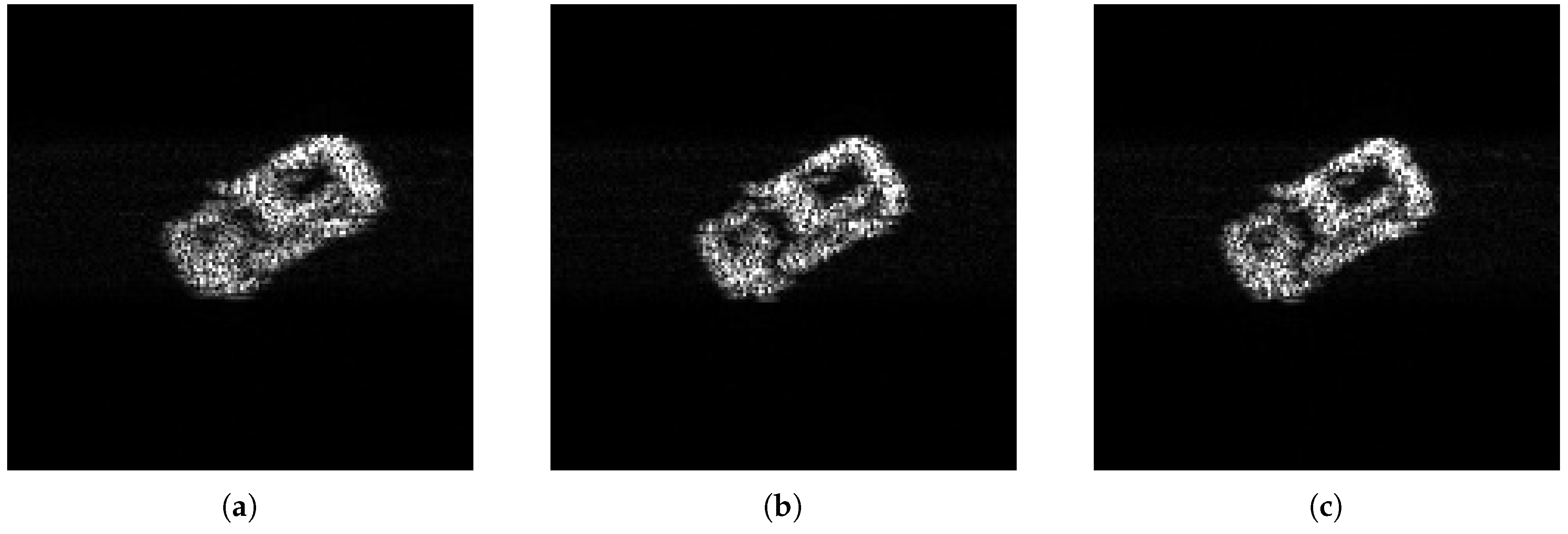 Remotesensing 12 03083 g021