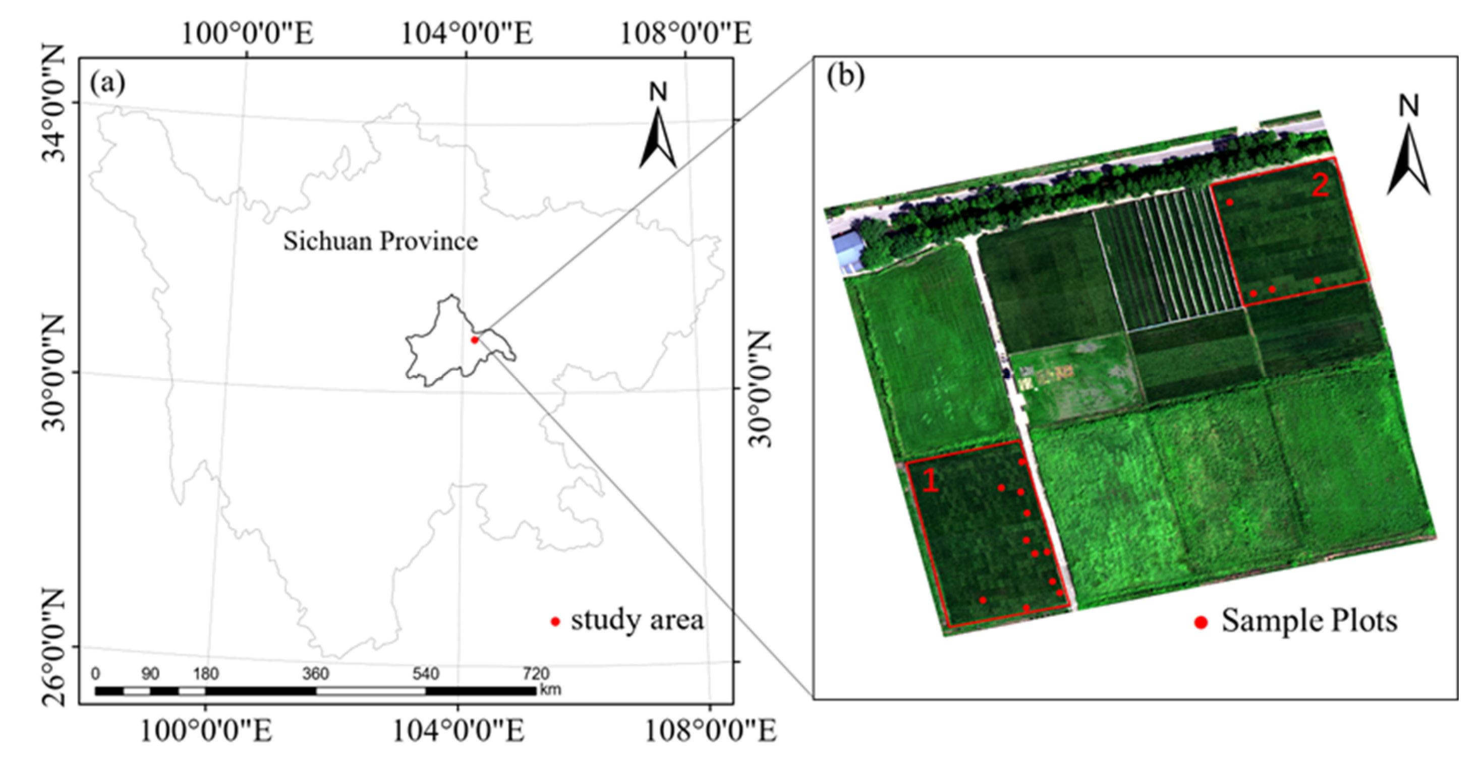 Remotesensing 12 03104 g001 Remotesensing 12 03104 g001