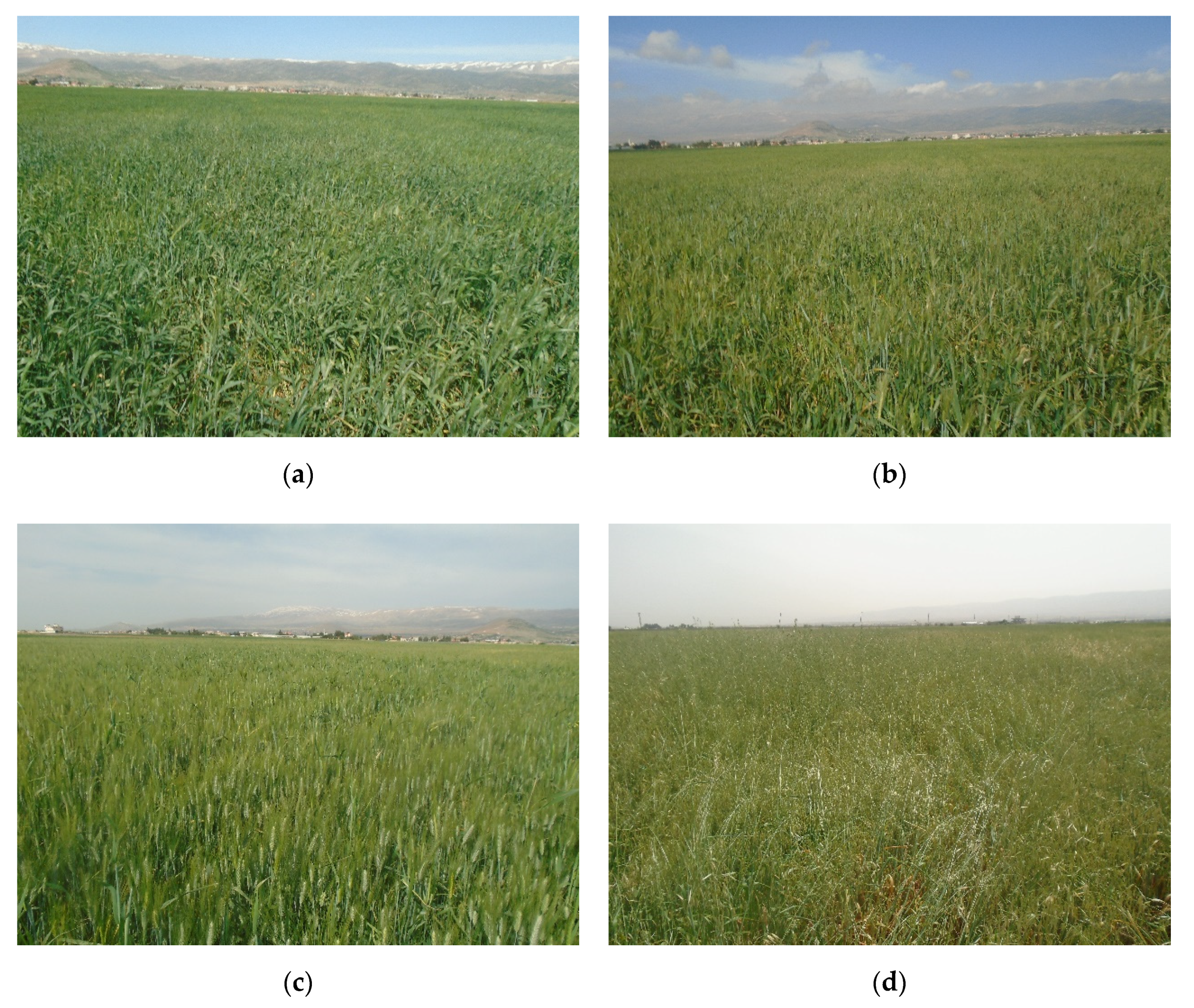 Remotesensing 12 03121 g004