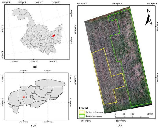 A Quantitative Monitoring Method for Determining Maize