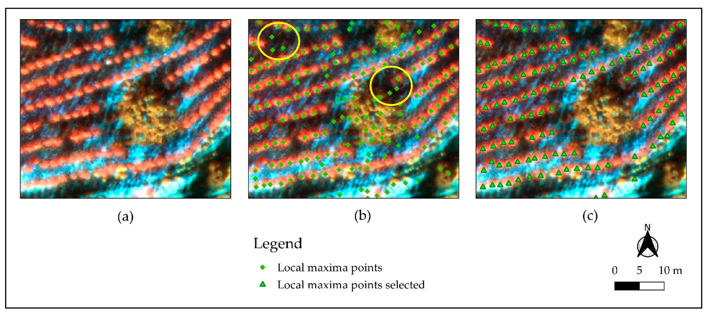 Remotesensing 12 03153 g005 Remotesensing 12 03153 g005