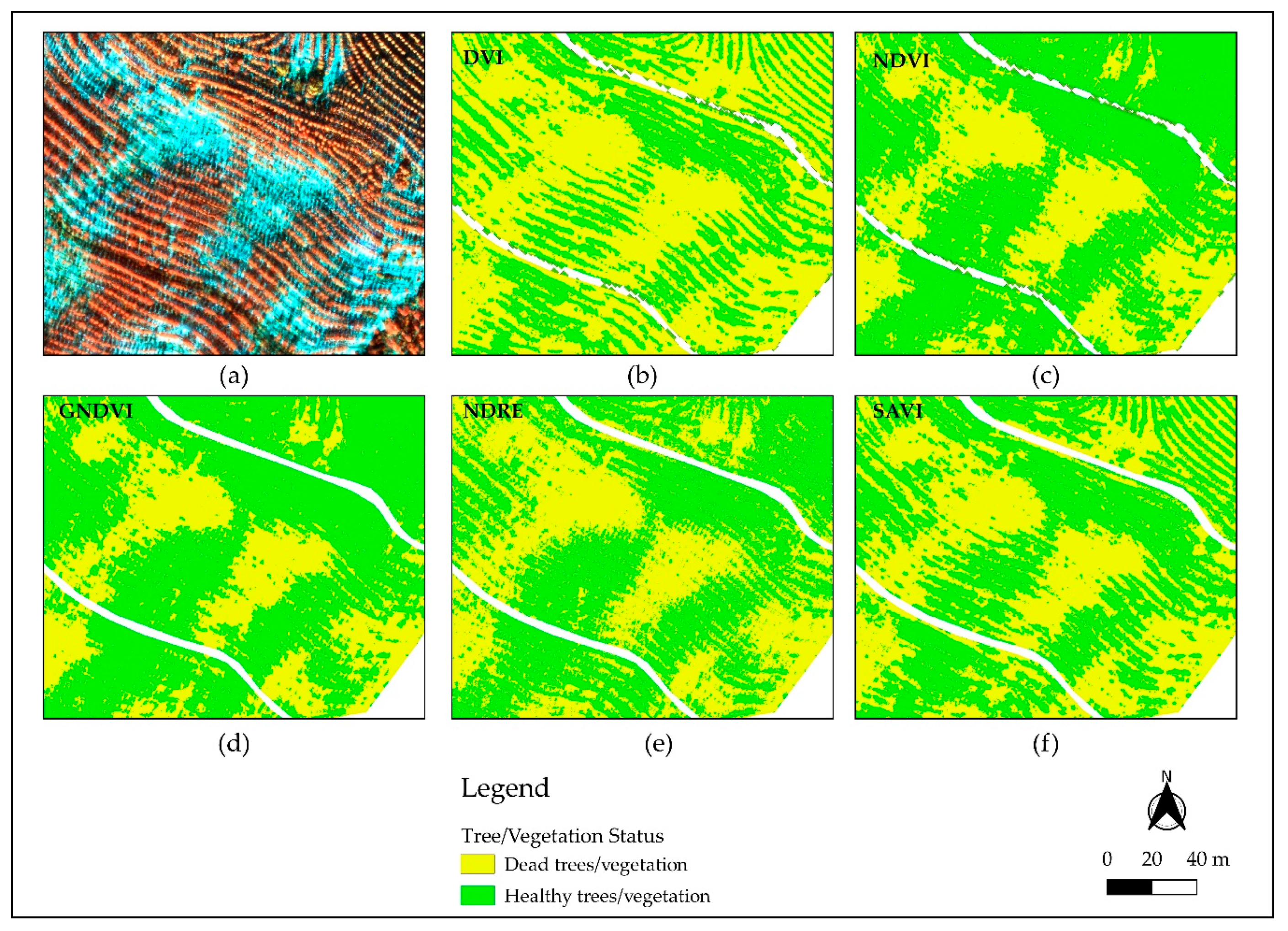 Remotesensing 12 03153 g008 Remotesensing 12 03153 g008