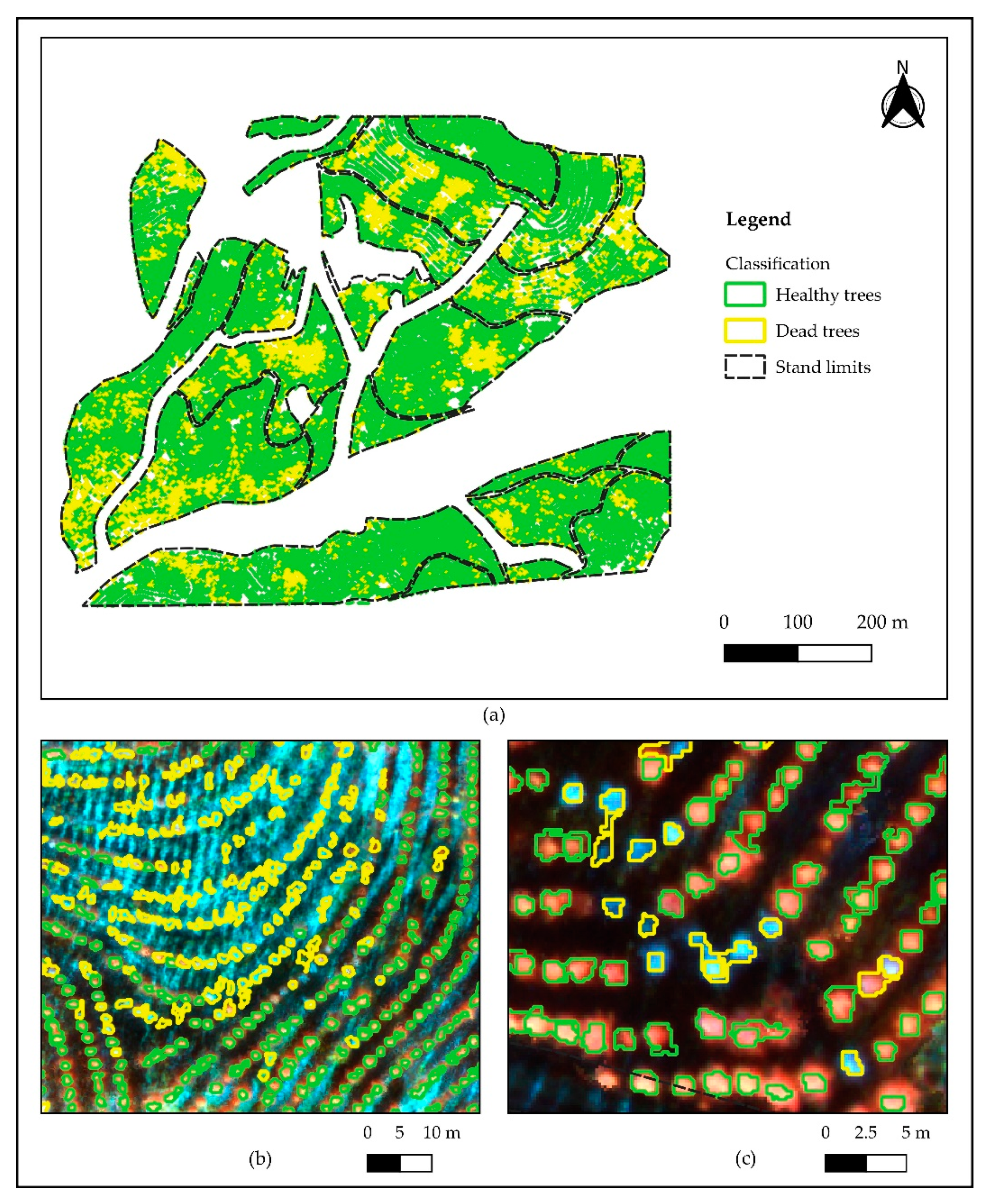 Remotesensing 12 03153 g009 Remotesensing 12 03153 g009