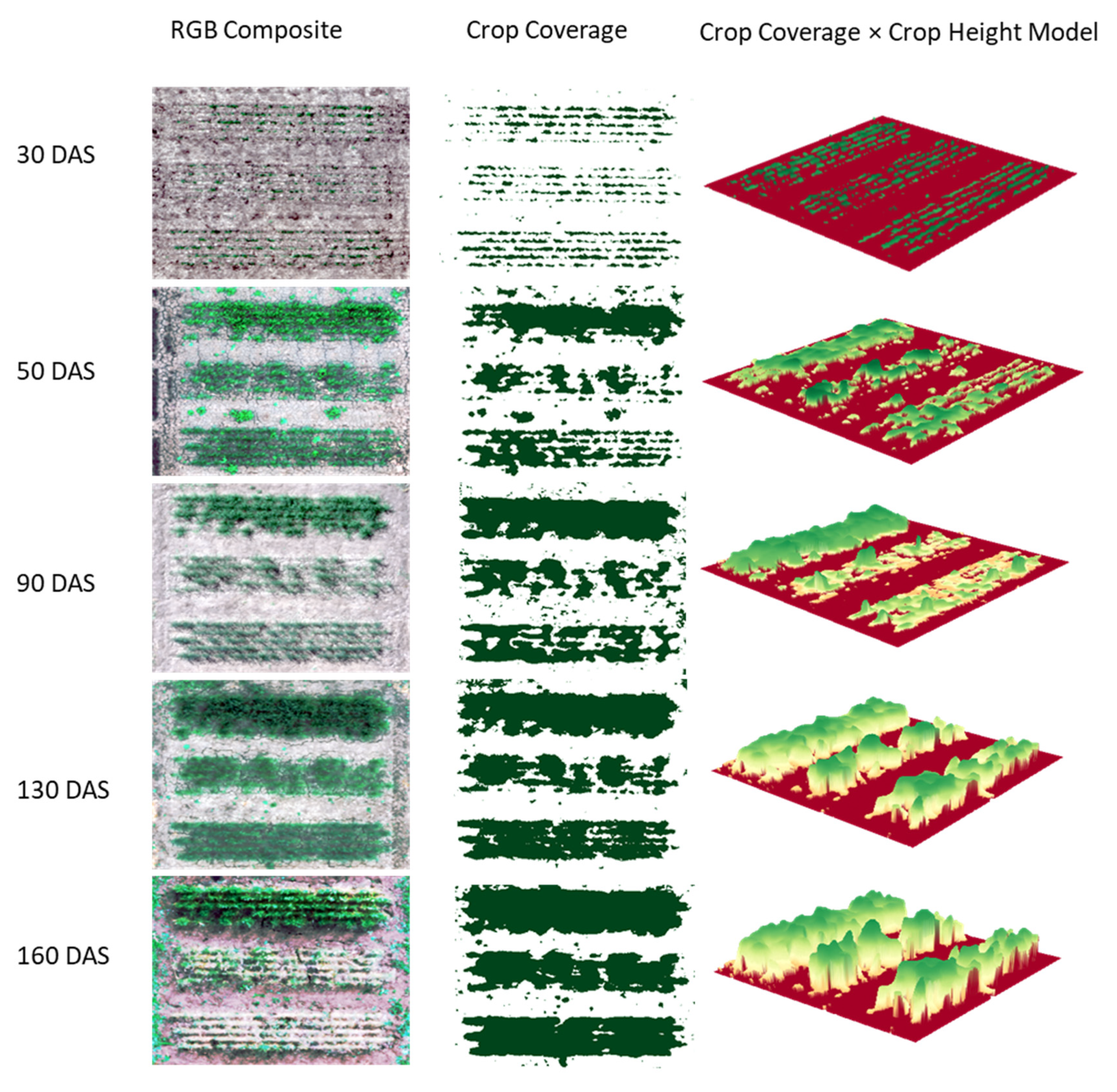 Remotesensing 12 03164 g004