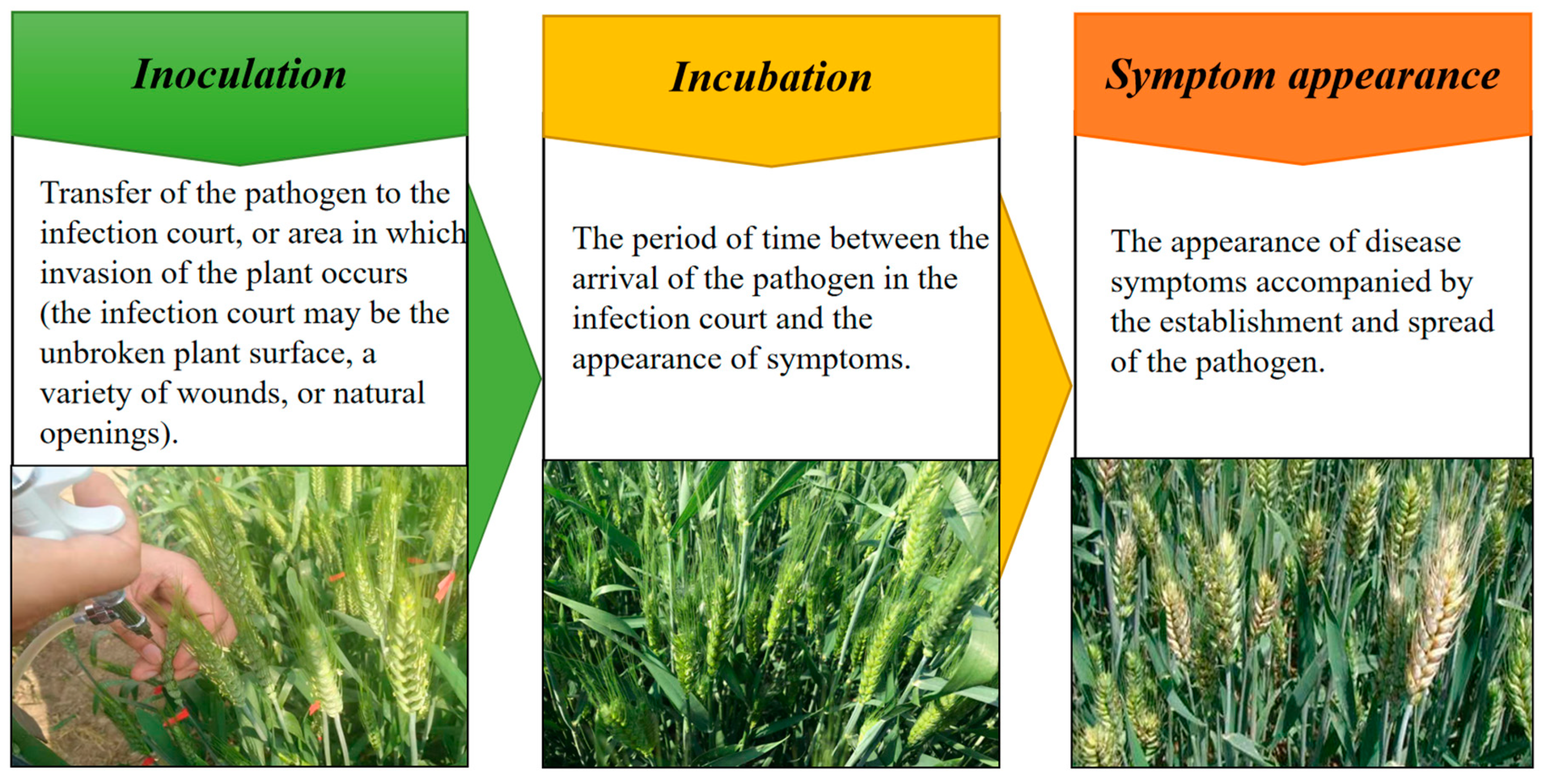 Remotesensing 12 03188 g003