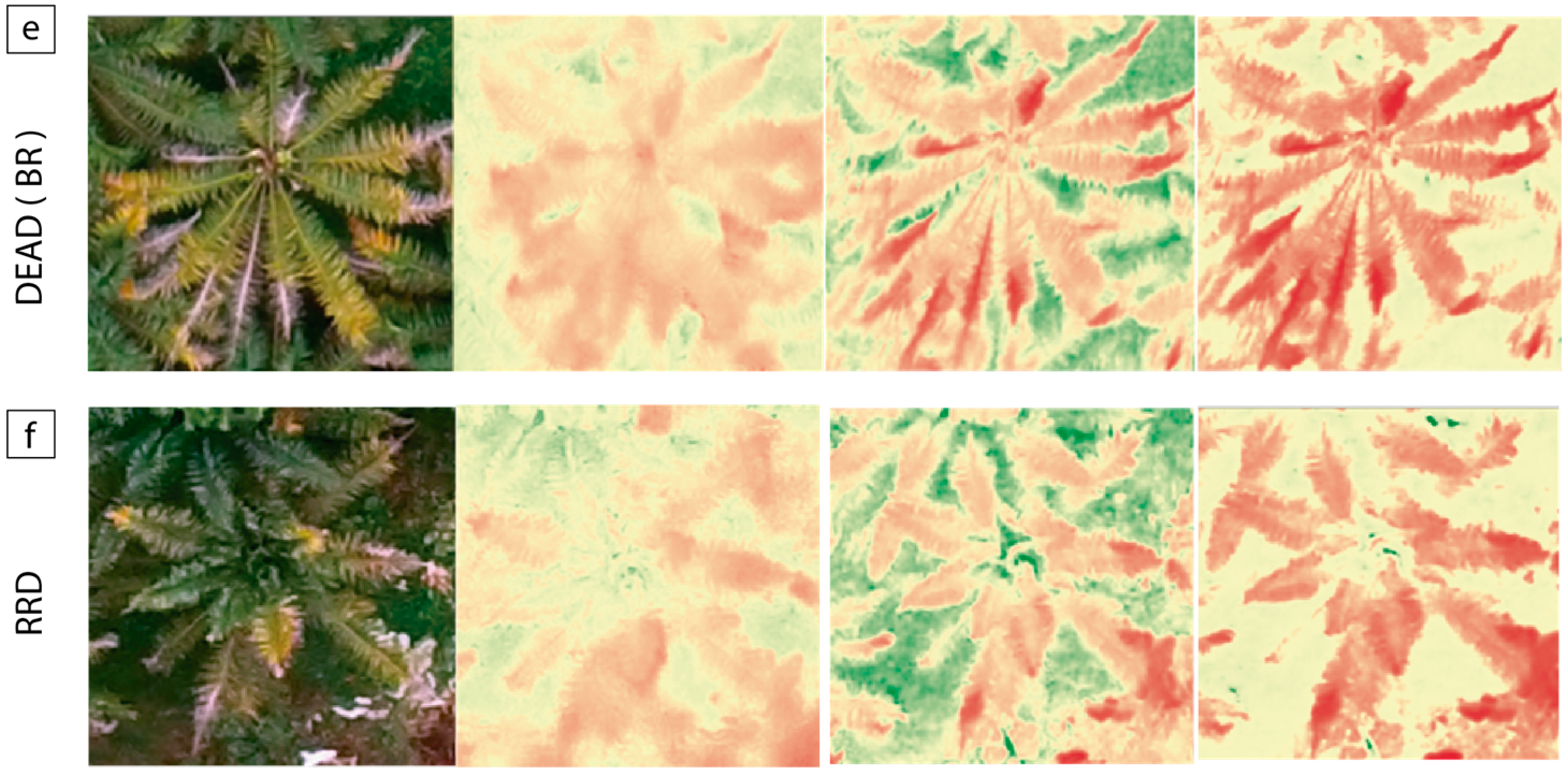 Remotesensing 12 03229 g007b