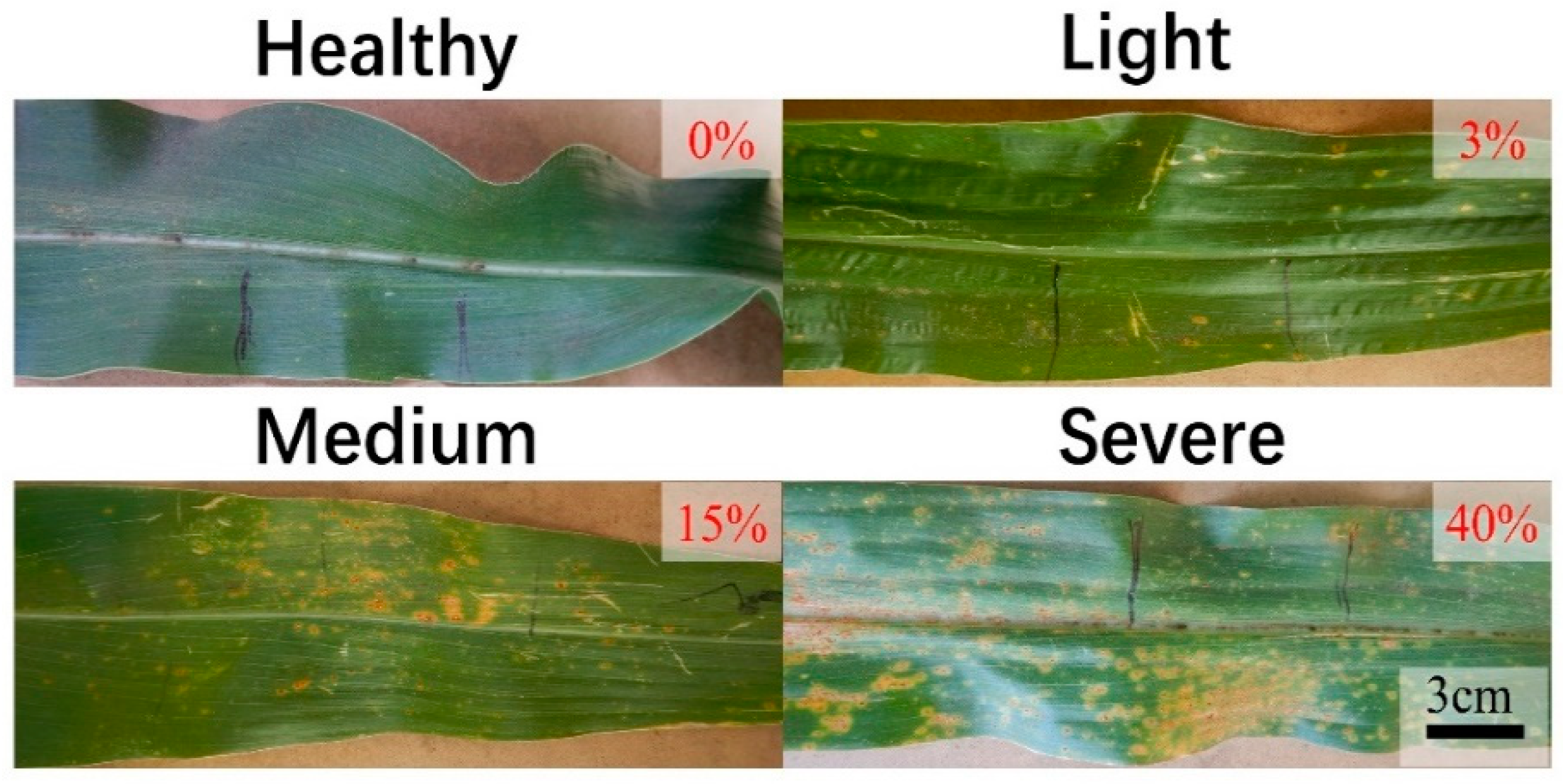 Remotesensing 12 03233 g003 Remotesensing 12 03233 g003