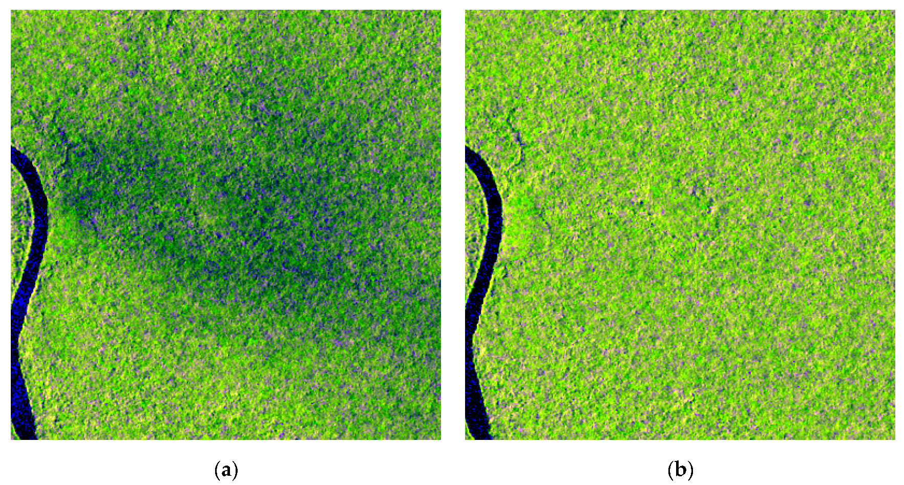 Remote Sensing Free Full Text Wide Area Near Real Time Monitoring Of Tropical Forest Degradation And Deforestation Using Sentinel 1 Html