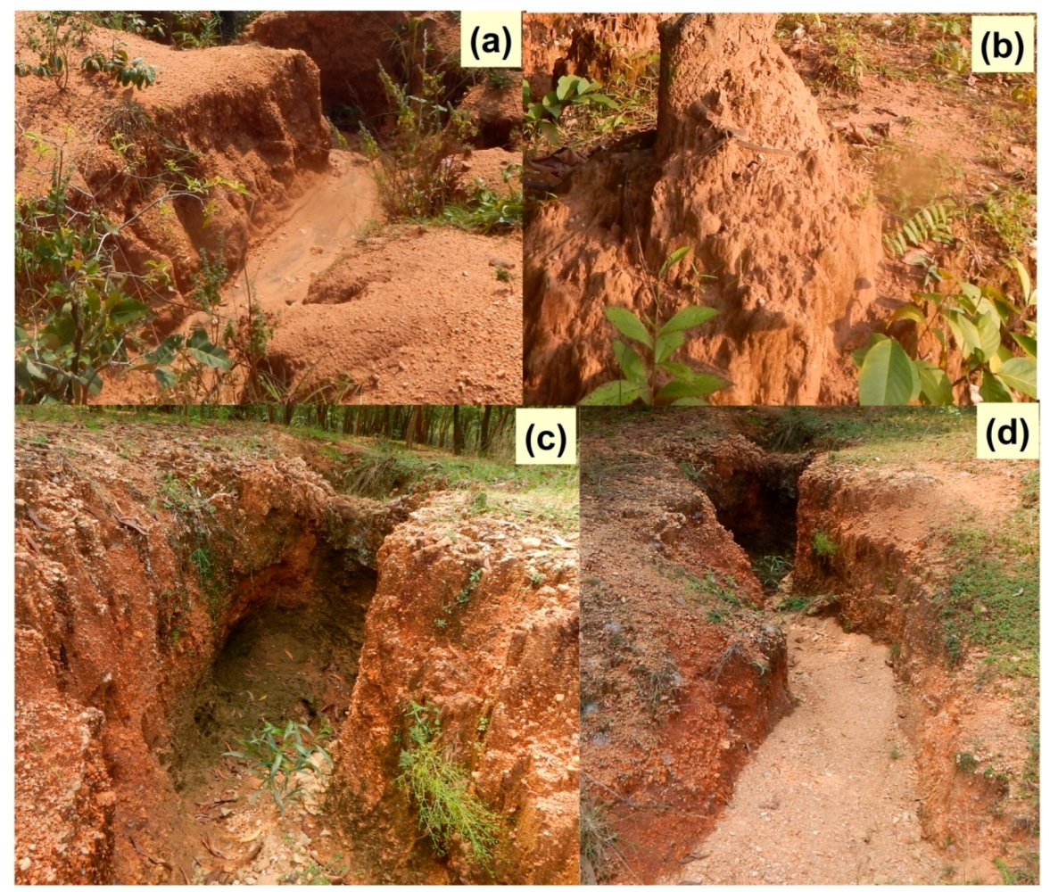 Remotesensing 12 03284 g002