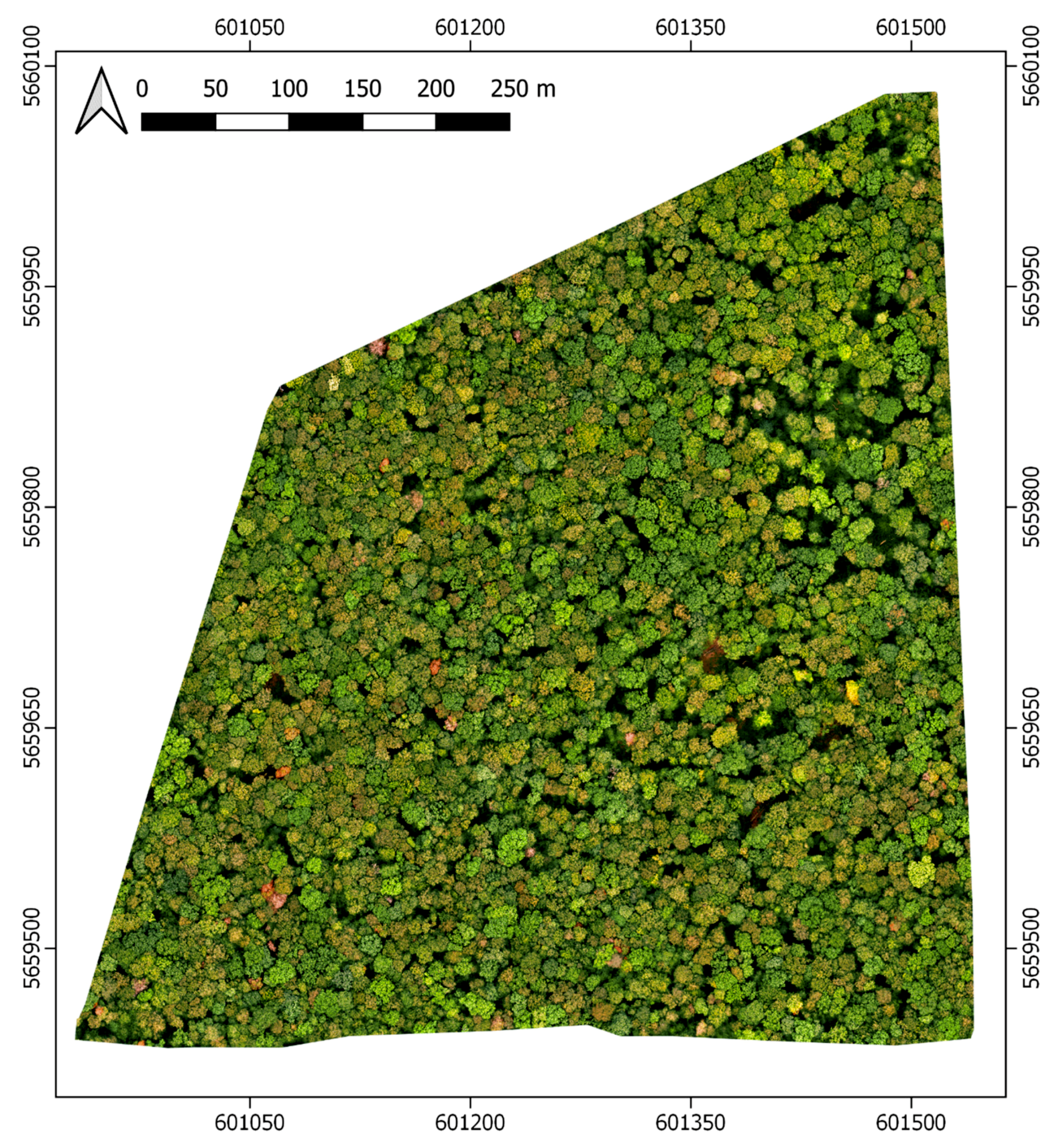 Remotesensing 12 03293 g002 Remotesensing 12 03293 g002