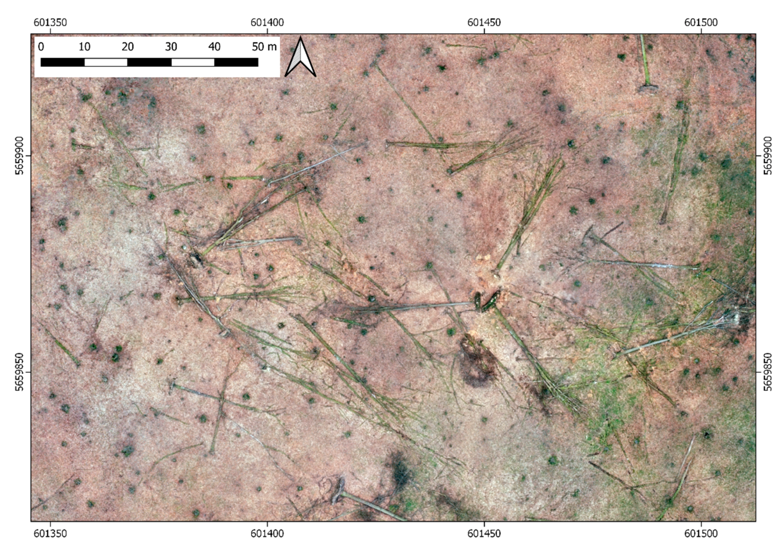 Remotesensing 12 03293 g004 Remotesensing 12 03293 g004