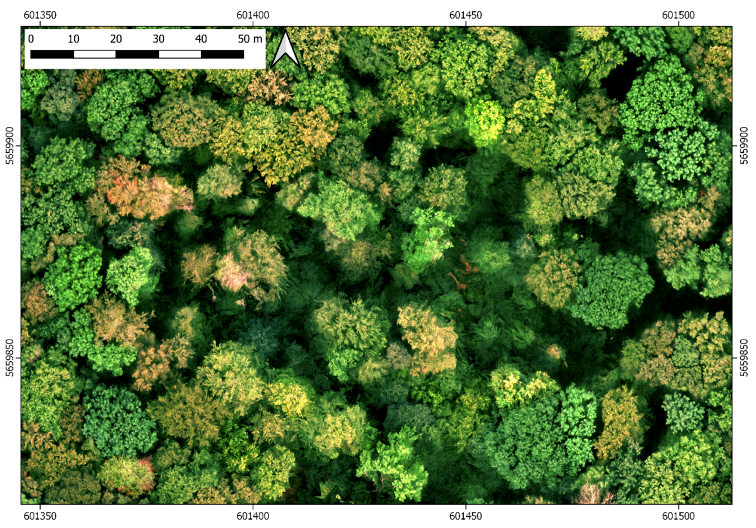 Remotesensing 12 03293 g005 Remotesensing 12 03293 g005