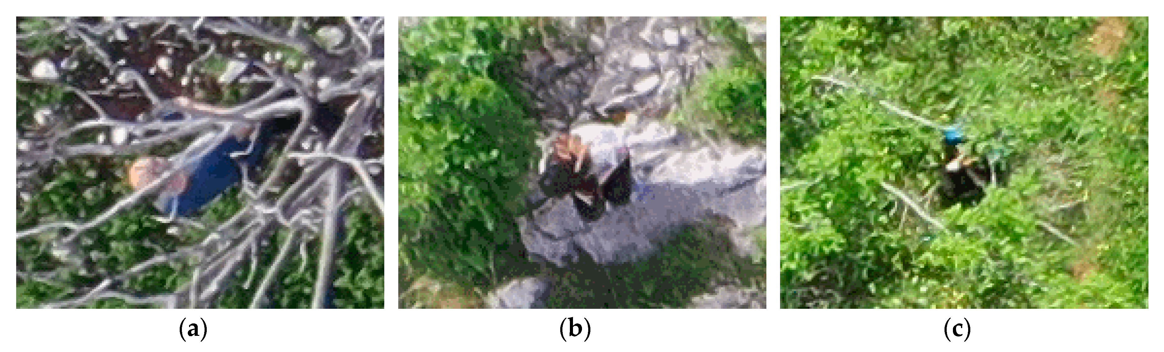 Remotesensing 12 03295 g011