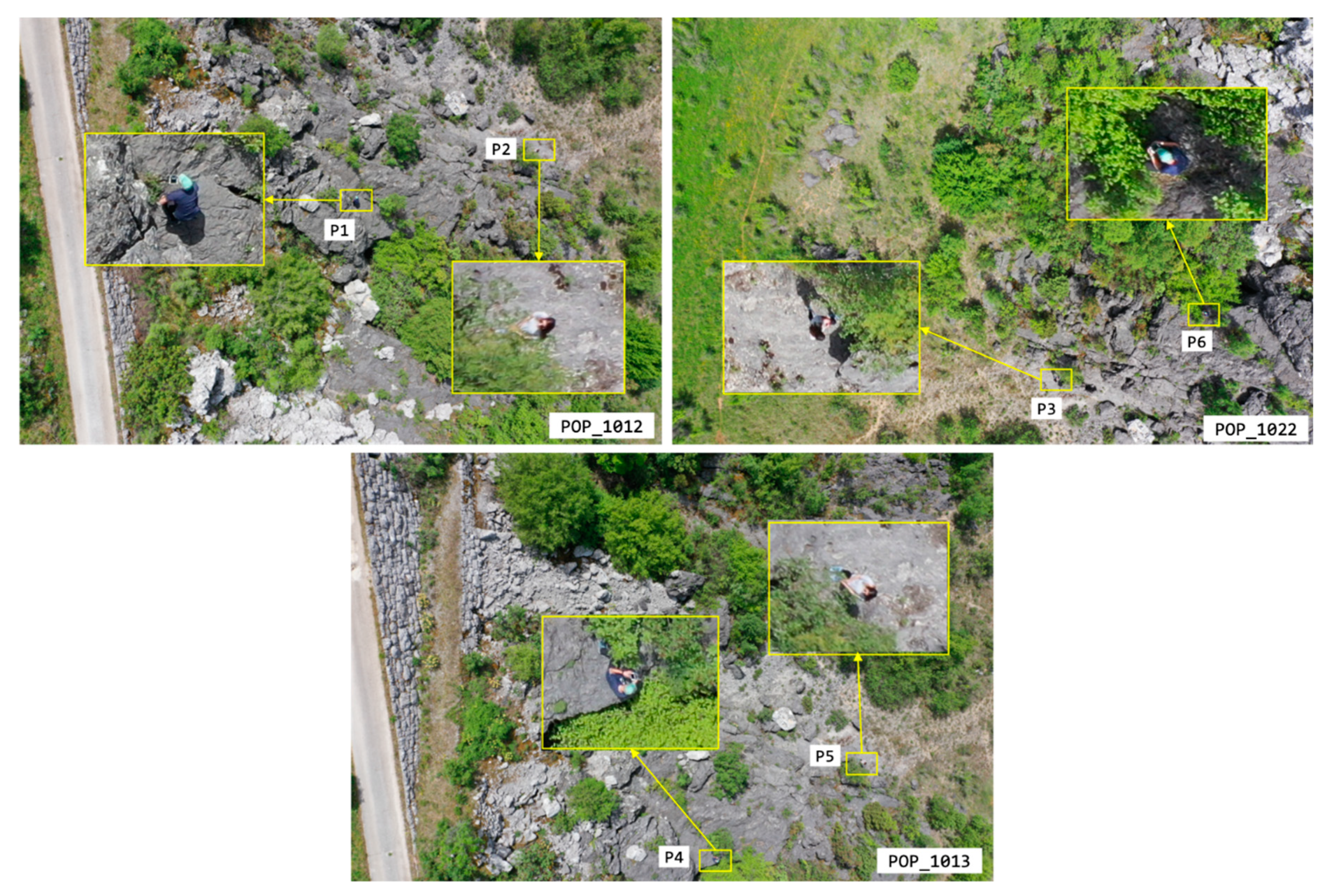 Remotesensing 12 03295 g020