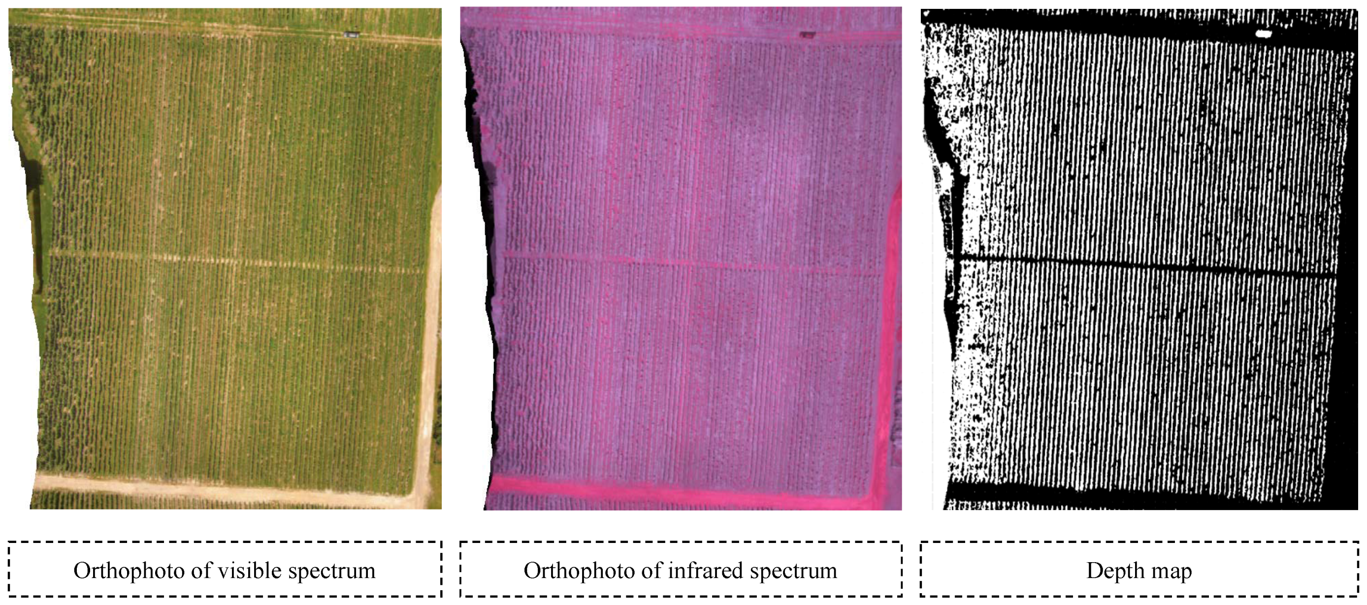 Remotesensing 12 03305 g005 Remotesensing 12 03305 g005