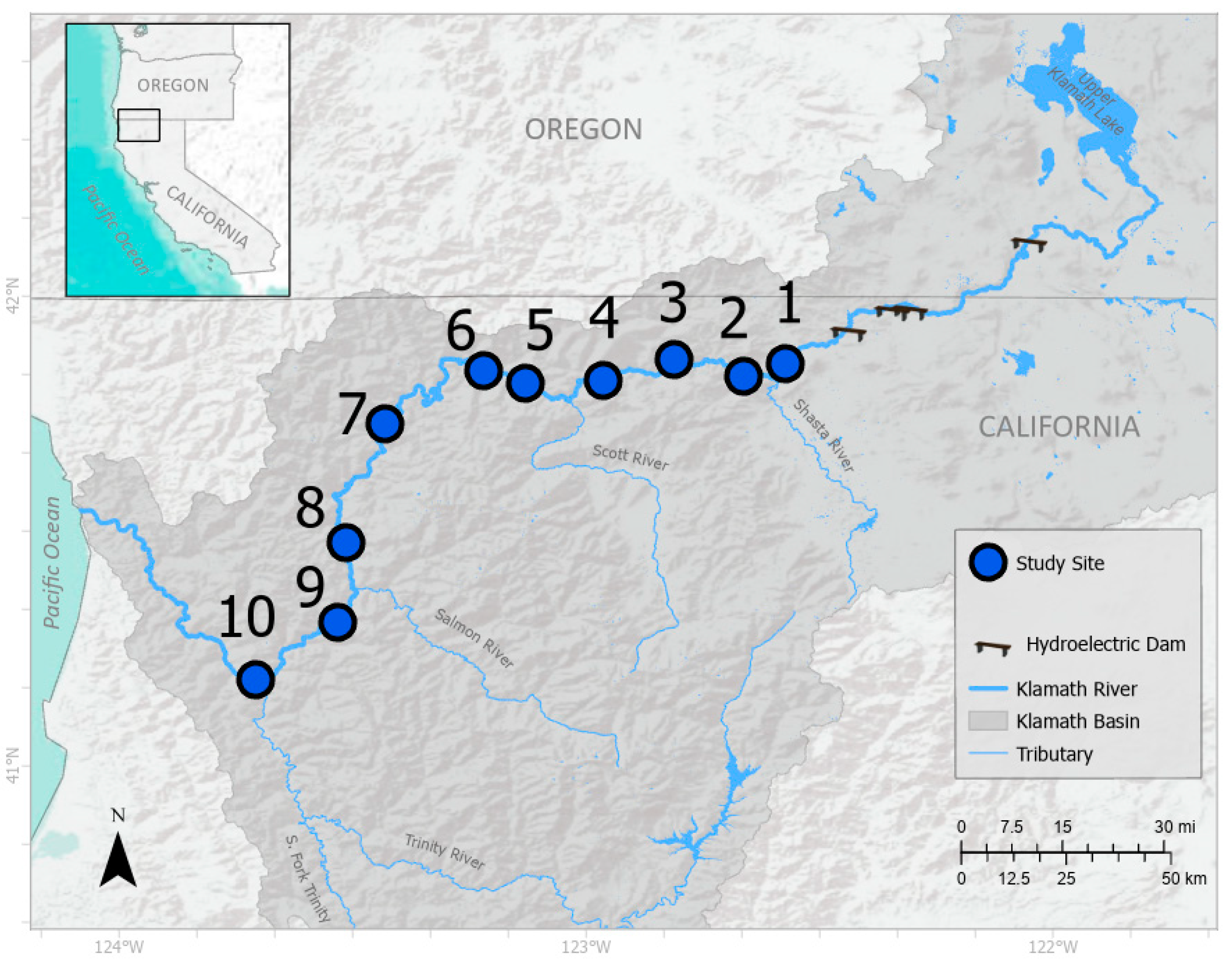 Remotesensing 12 03332 g001 Remotesensing 12 03332 g001
