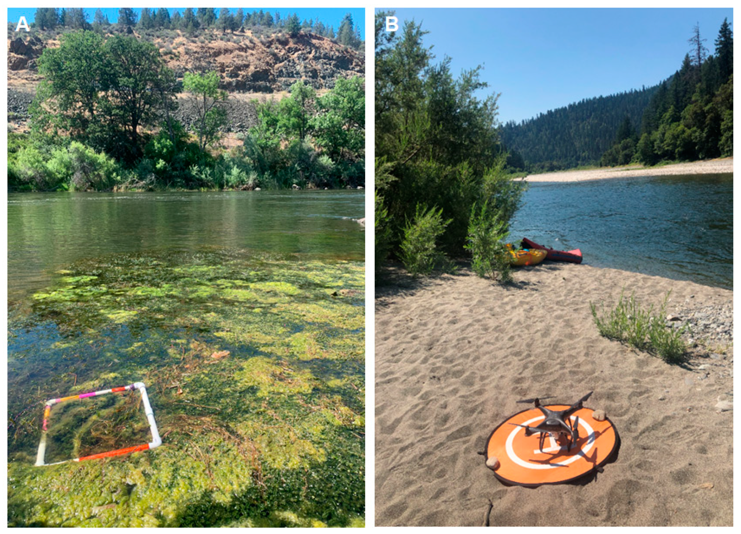 Remotesensing 12 03332 g002 Remotesensing 12 03332 g002