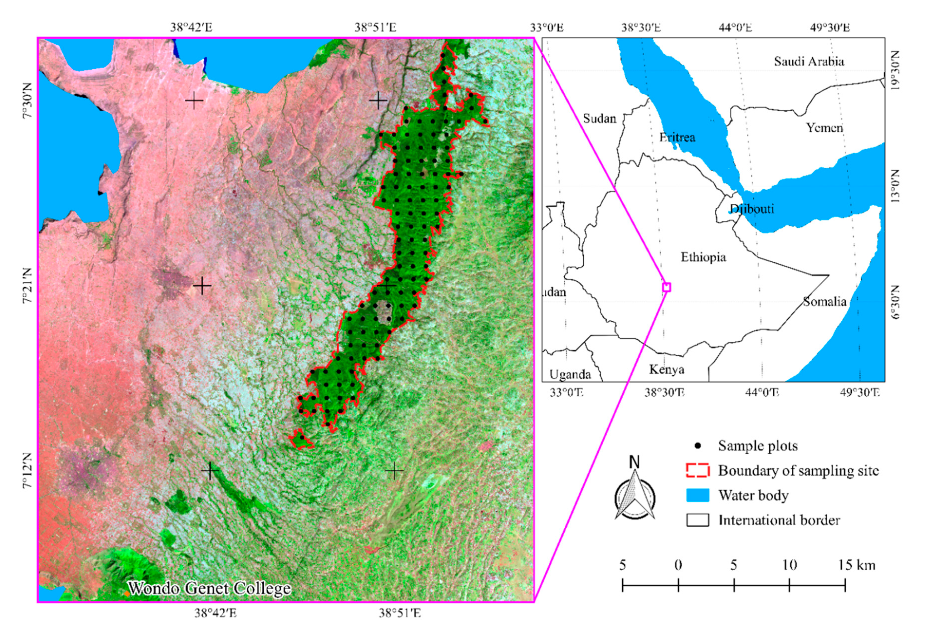 Remotesensing 12 03335 g001 Remotesensing 12 03335 g001
