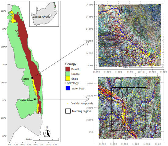Remote Sensing Free Full Text Probabilistic Mapping And Spatial Pattern Analysis Of Grazing Lawns In Southern African Savannahs Using Worldview 3 Imagery And Machine Learning Techniques Html