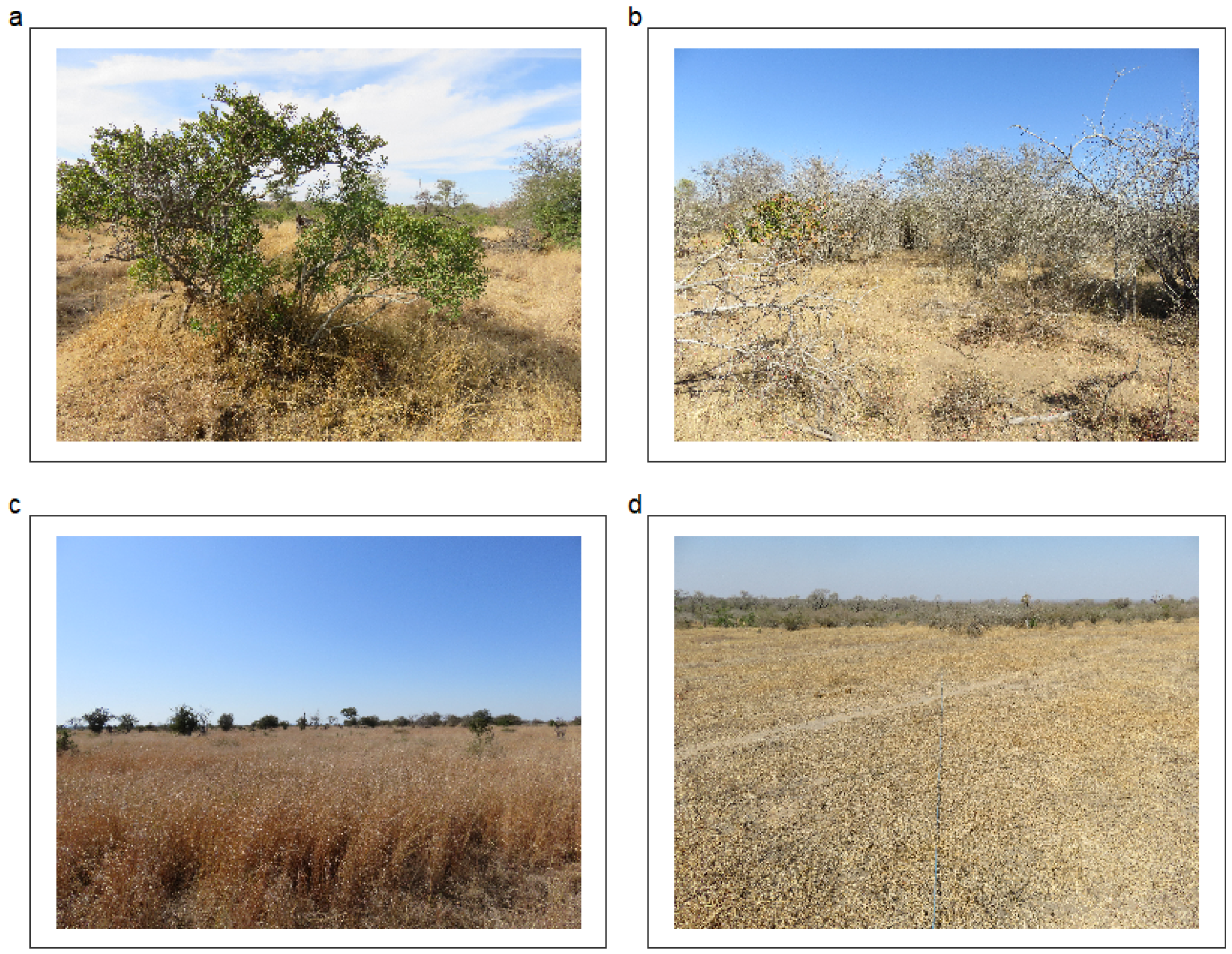 Remotesensing 12 03357 g002