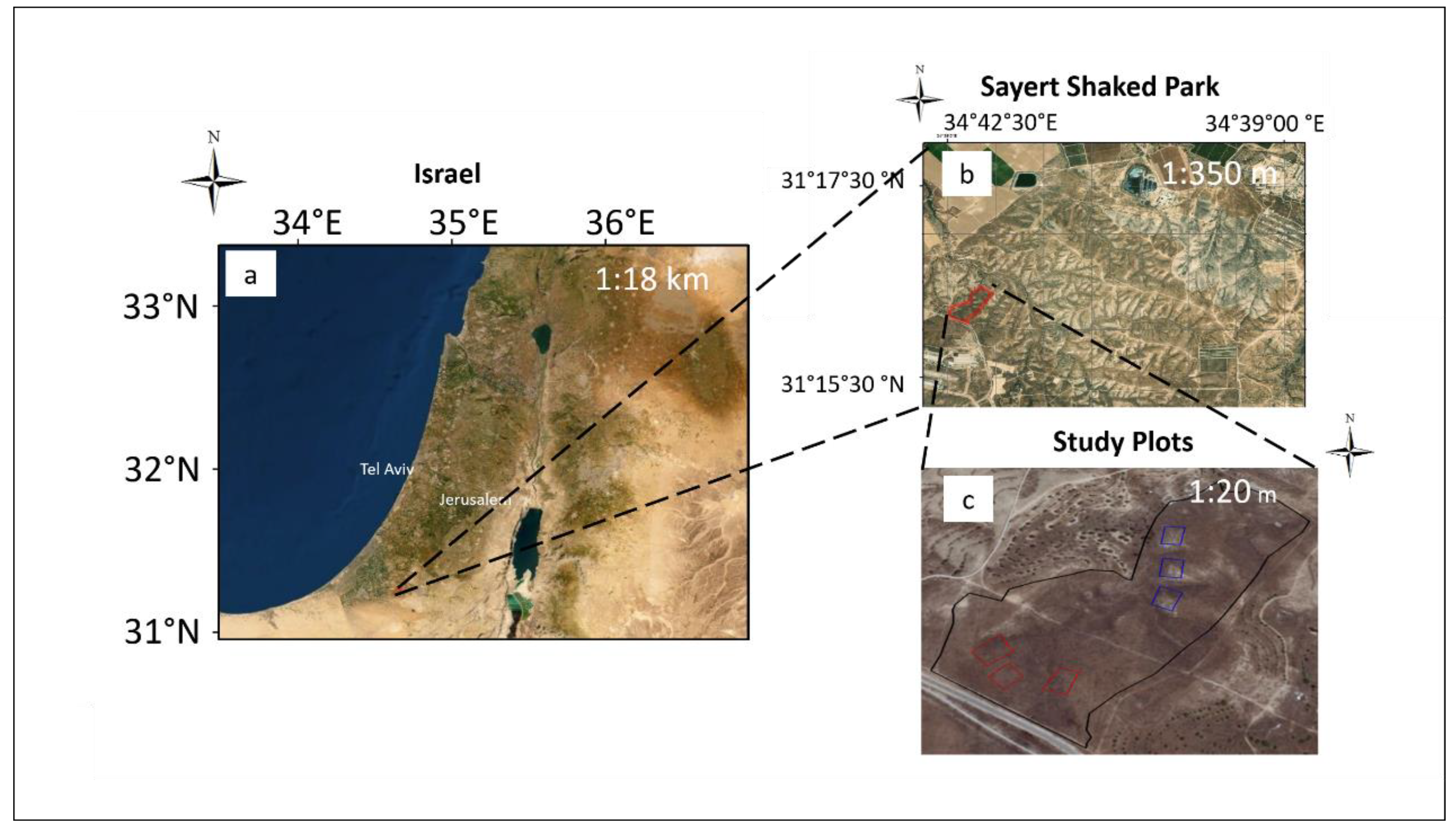 Remotesensing 12 03377 g002 Remotesensing 12 03377 g002