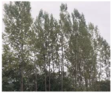 Remotesensing 12 03393 i012