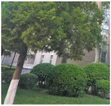 Remotesensing 12 03393 i015