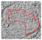 Remotesensing 12 03393 i018