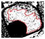 Remotesensing 12 03393 i019