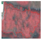 Remotesensing 12 03393 i020