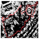 Remotesensing 12 03393 i033