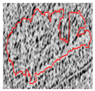 Remotesensing 12 03393 i038