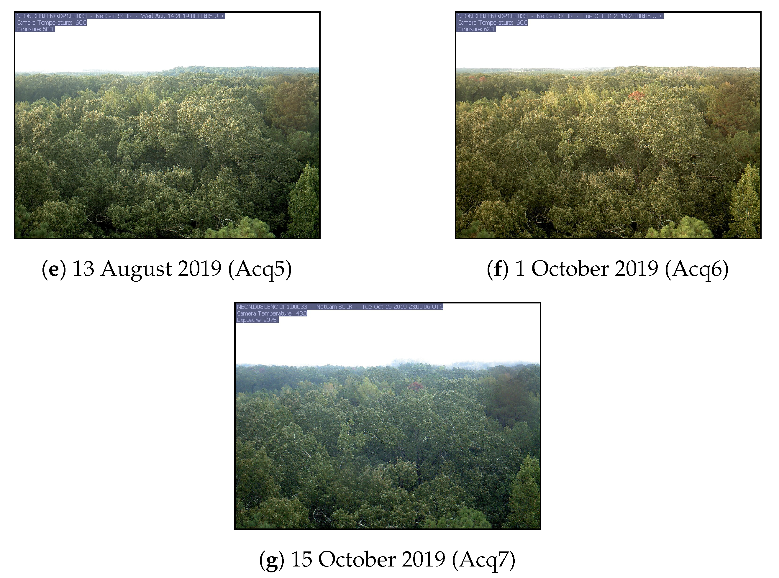 Remotesensing 12 03397 g002b Remotesensing 12 03397 g002b