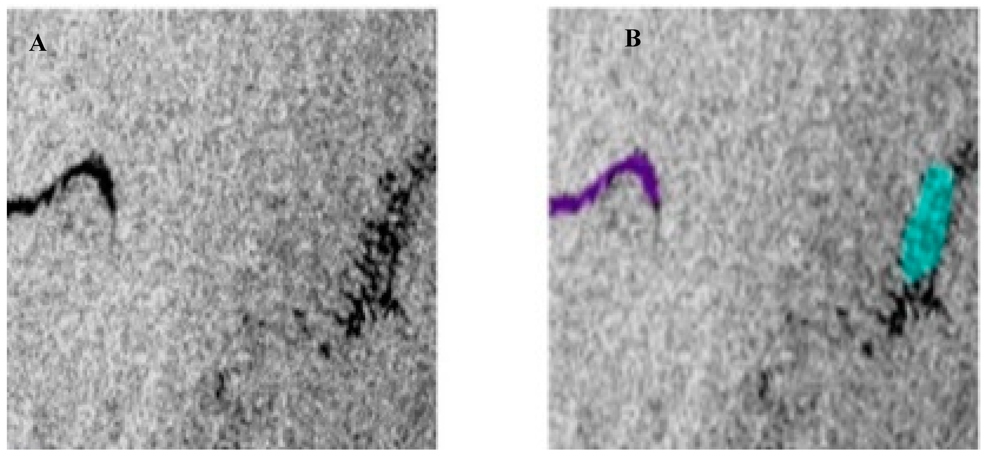 Remotesensing 12 03416 g006 Remotesensing 12 03416 g006