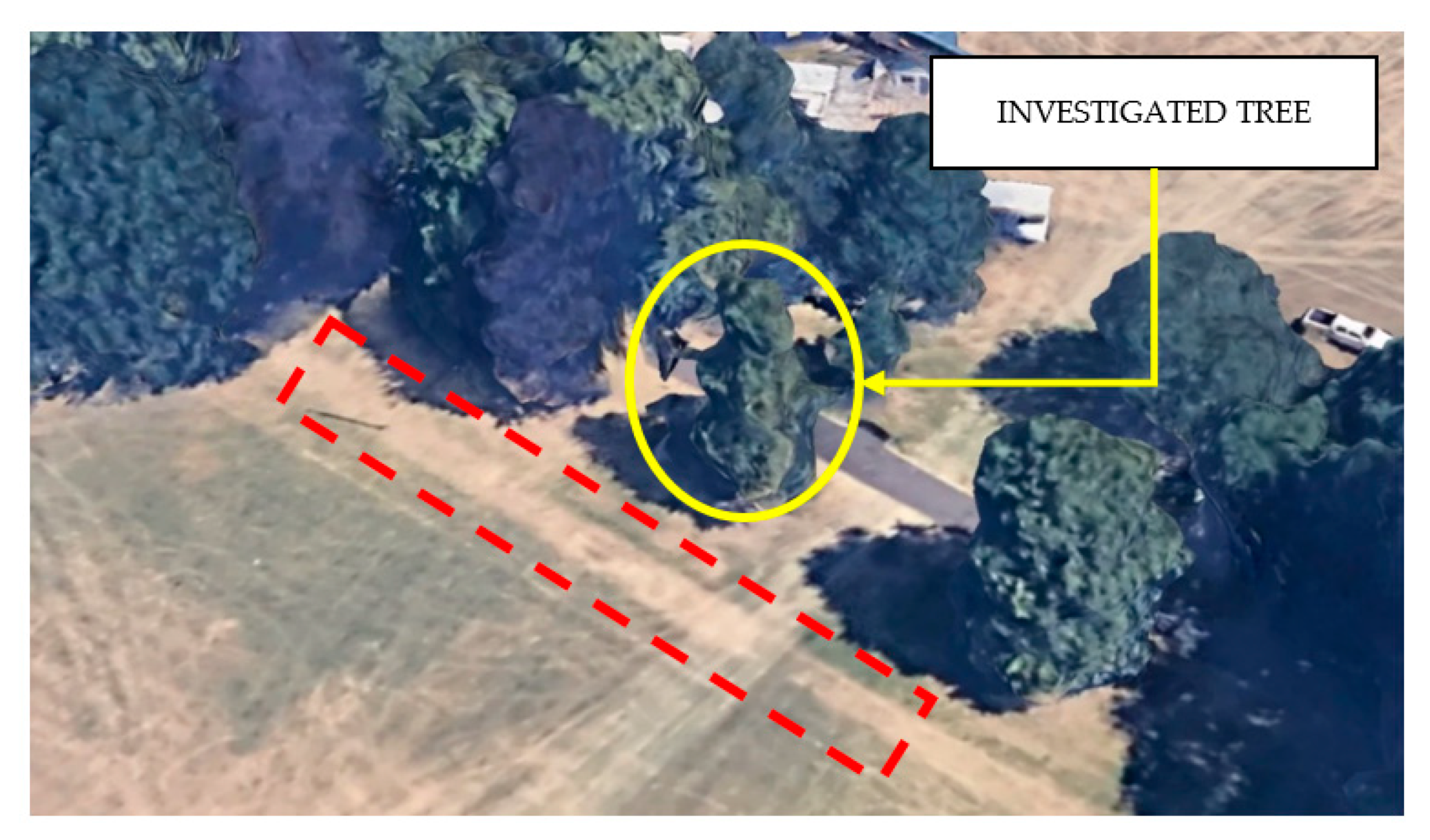 Remotesensing 12 03417 g010