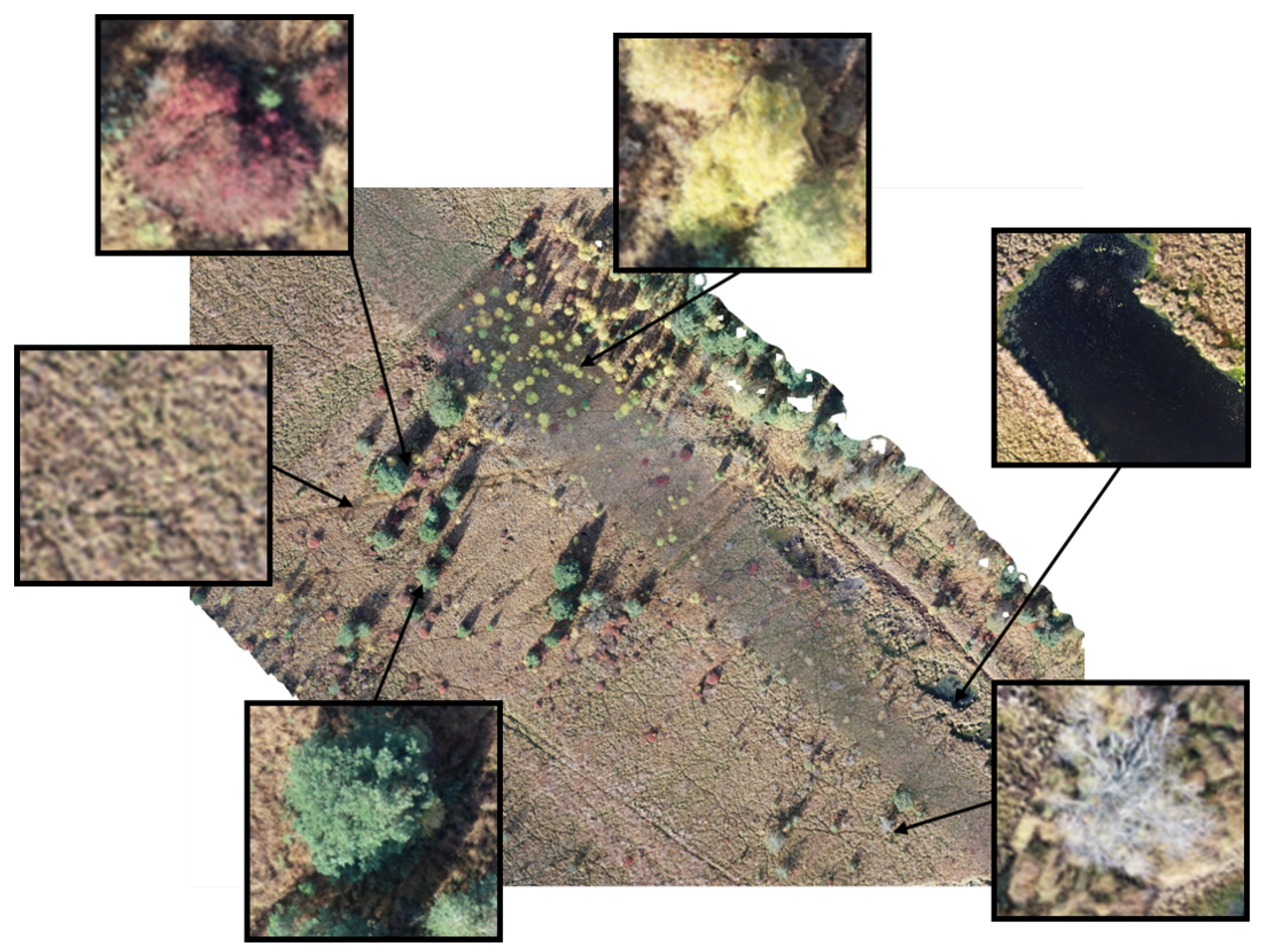 Remotesensing 12 03431 g002 Remotesensing 12 03431 g002