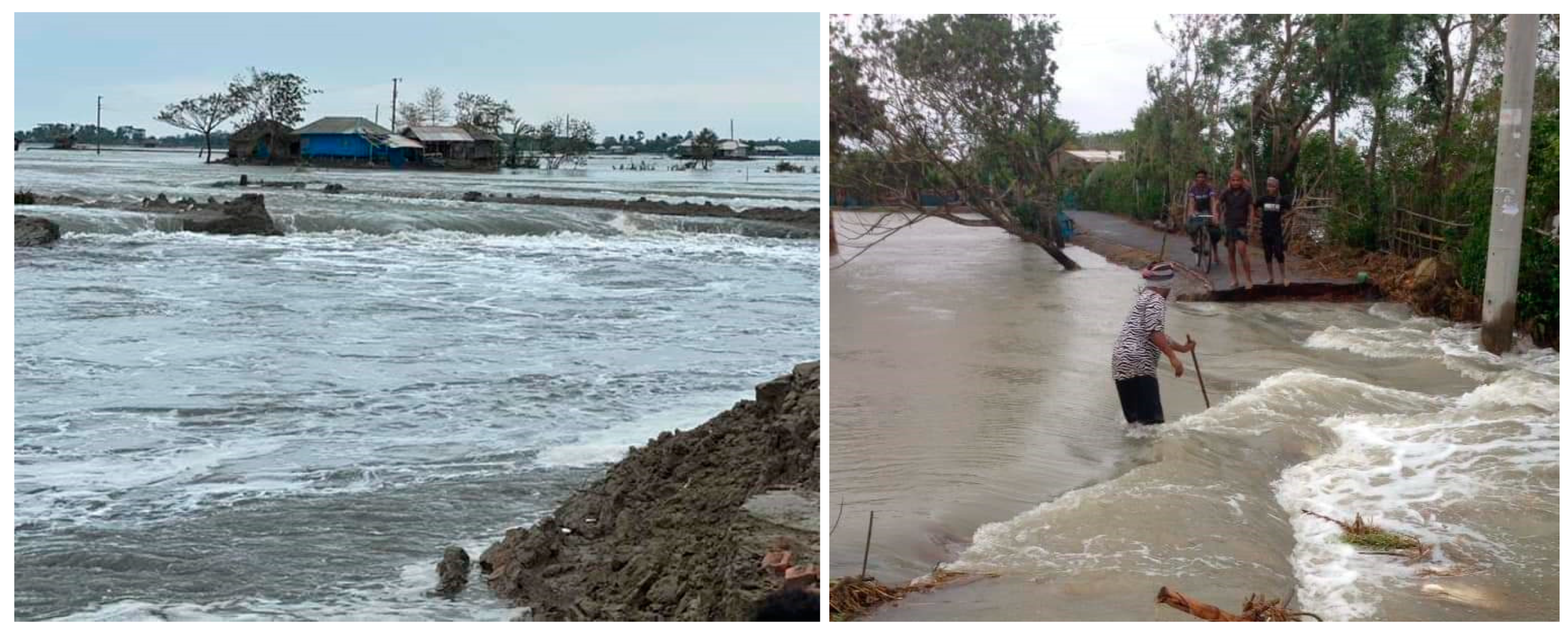 Remotesensing 12 03454 g001