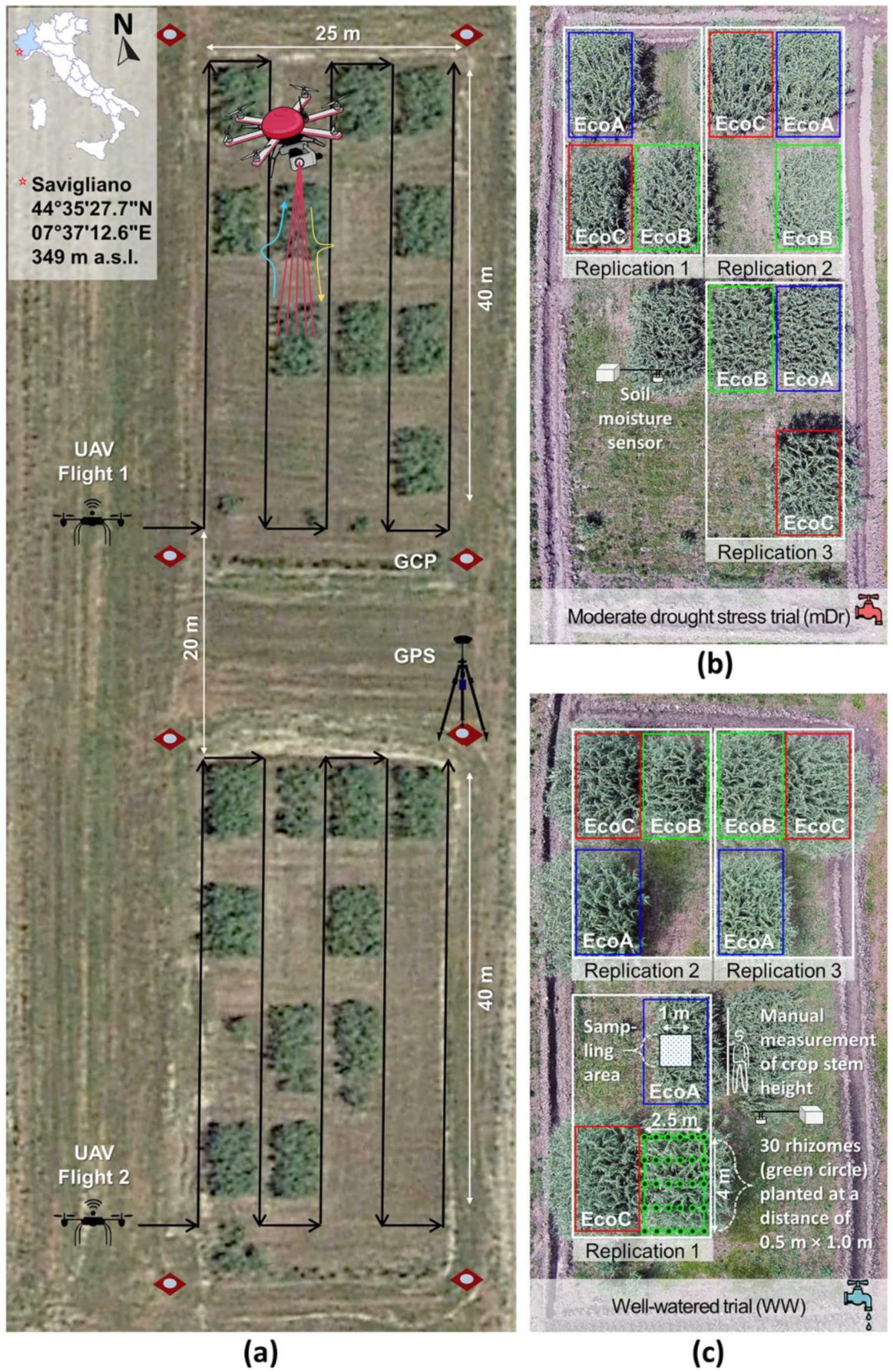 Remotesensing 12 03464 g001 Remotesensing 12 03464 g001