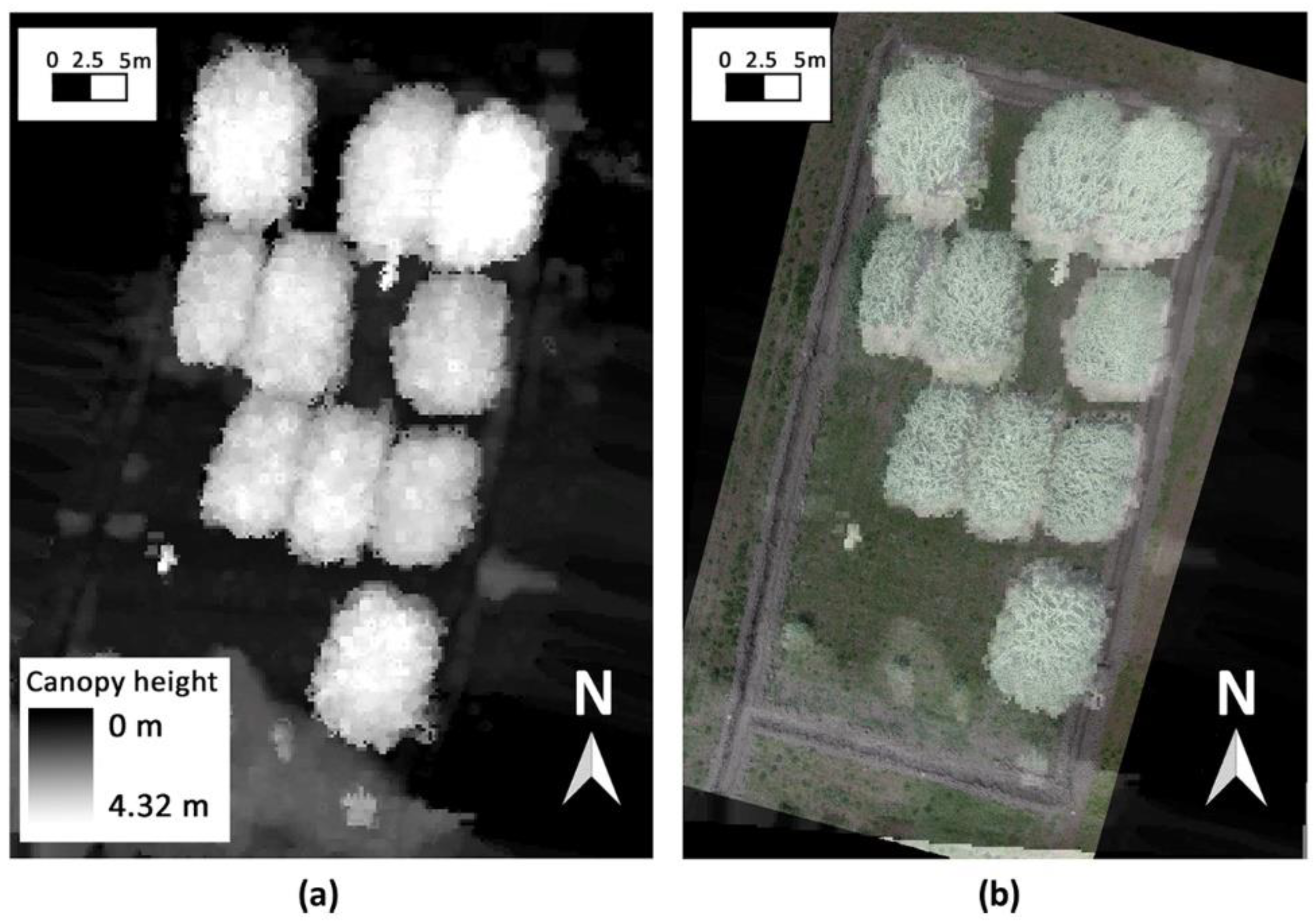 Remotesensing 12 03464 g006 Remotesensing 12 03464 g006