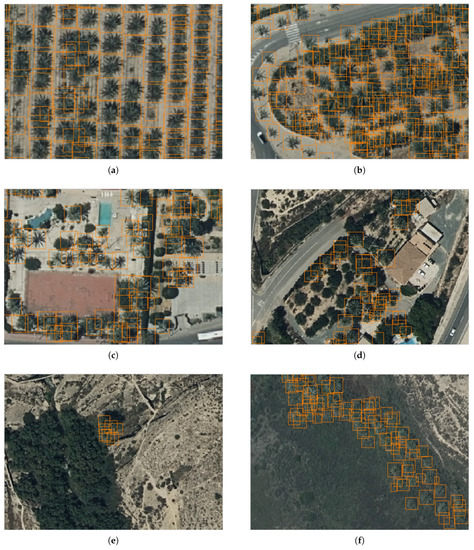 Individual Palm Tree Detection Using Deep Learning on RGB Imagery to ...