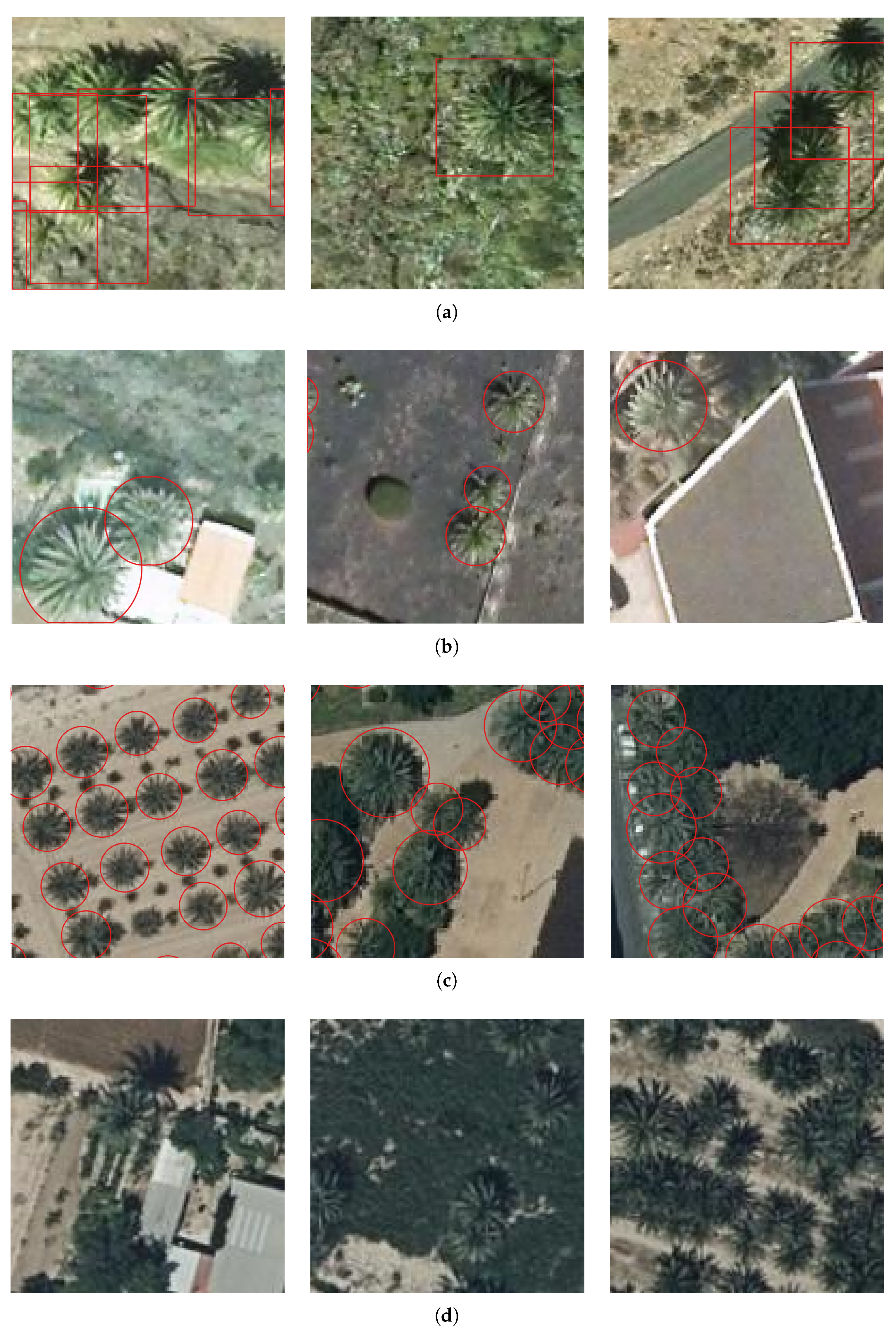 Individual Palm Tree Detection Using Deep Learning on RGB Imagery to ...