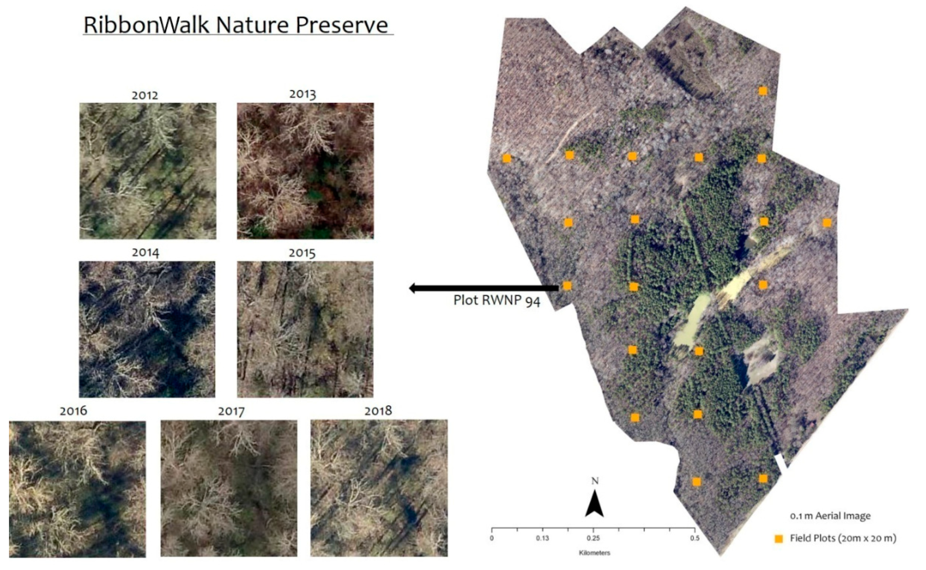 Remotesensing 12 03493 g001