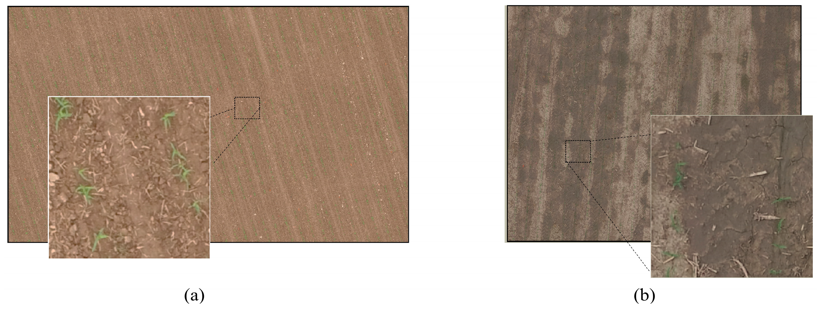 Remotesensing 12 03521 g006 Remotesensing 12 03521 g006