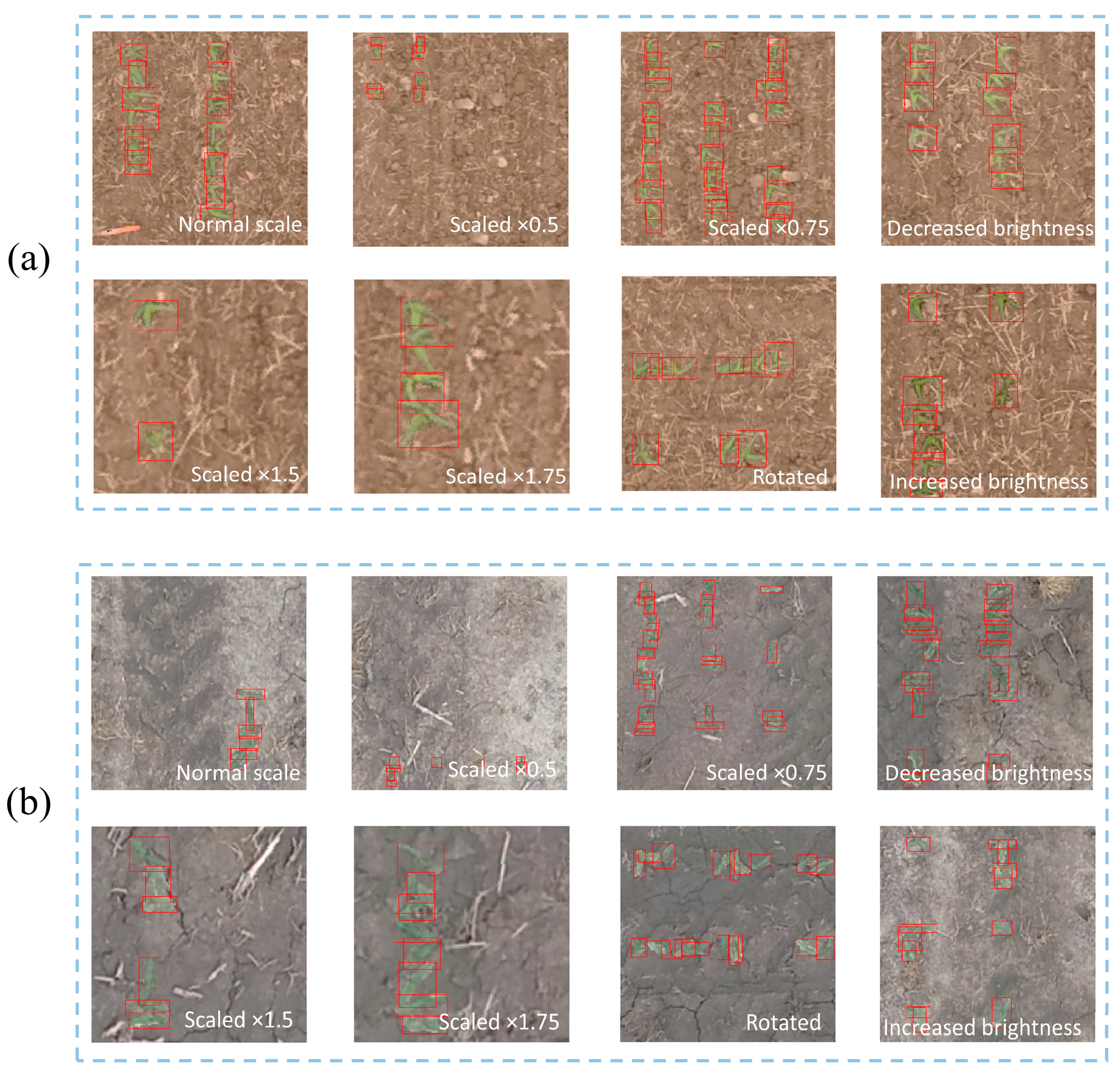 Remotesensing 12 03521 g008 Remotesensing 12 03521 g008