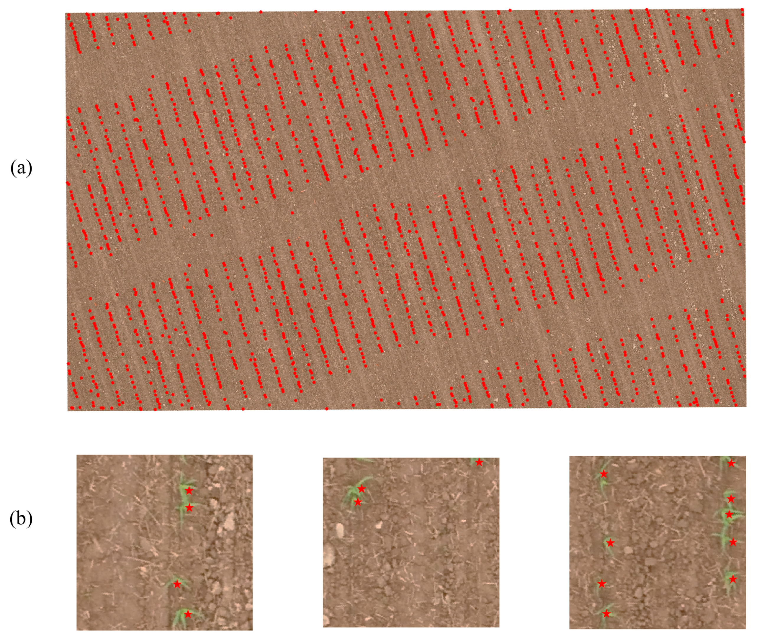 Remotesensing 12 03521 g010 Remotesensing 12 03521 g010