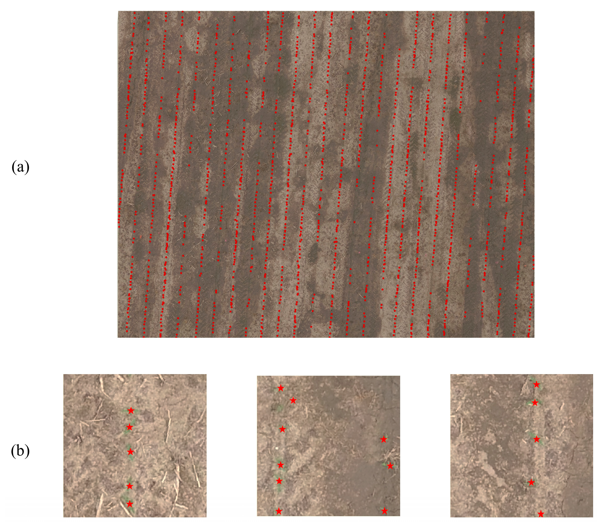 Remotesensing 12 03521 g011 Remotesensing 12 03521 g011